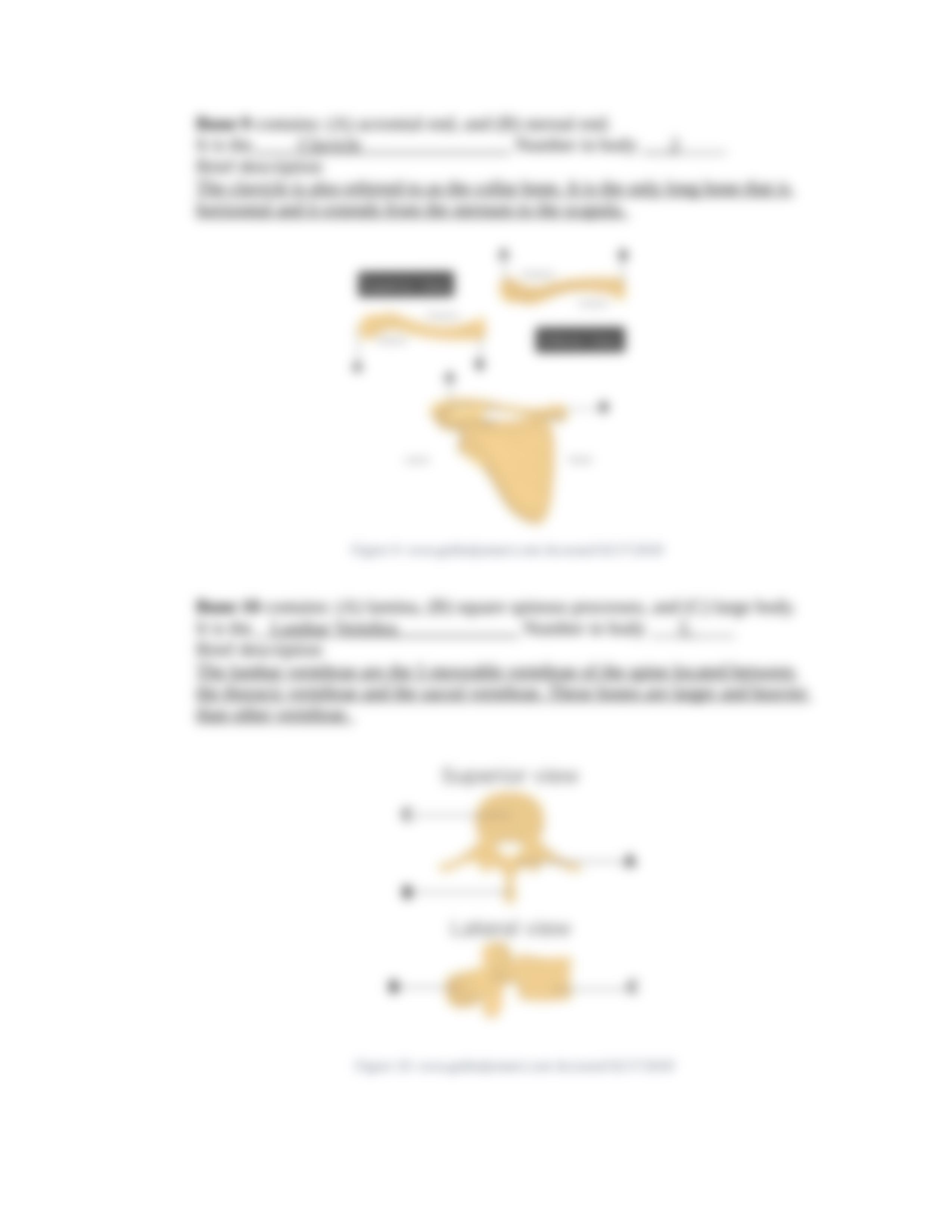 Case Study 2 - Body Landmark Analysis.docx_dxyktorrrov_page5