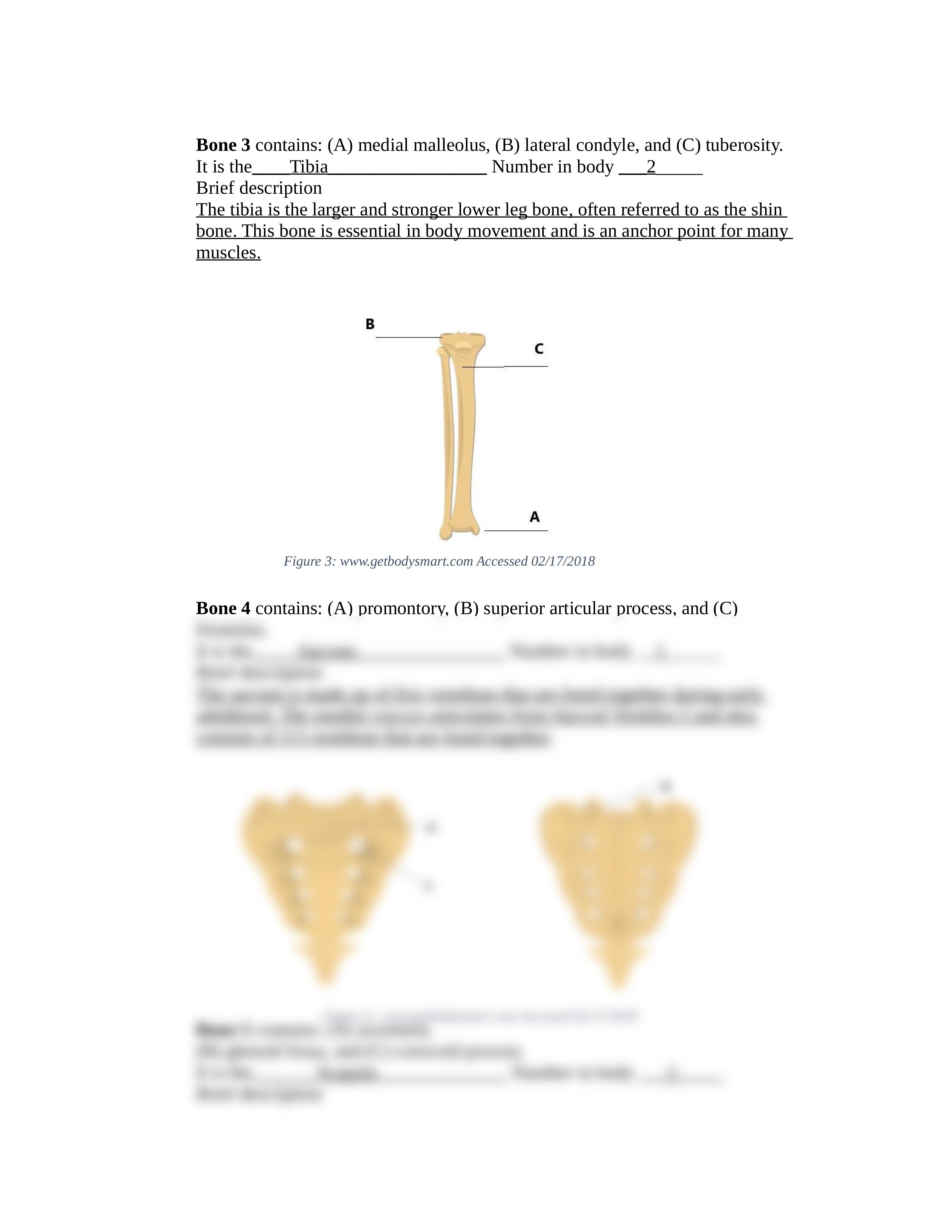 Case Study 2 - Body Landmark Analysis.docx_dxyktorrrov_page2