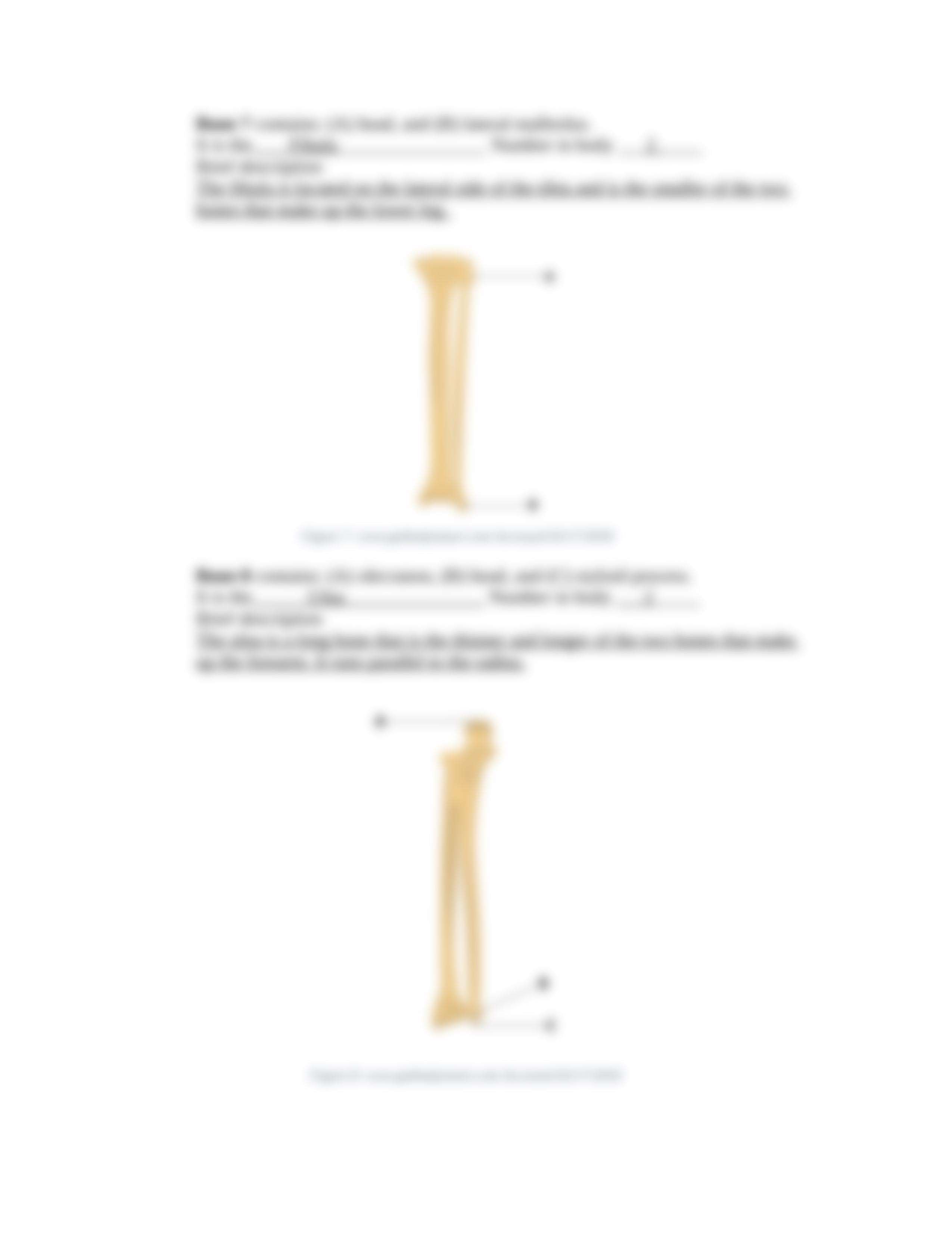 Case Study 2 - Body Landmark Analysis.docx_dxyktorrrov_page4