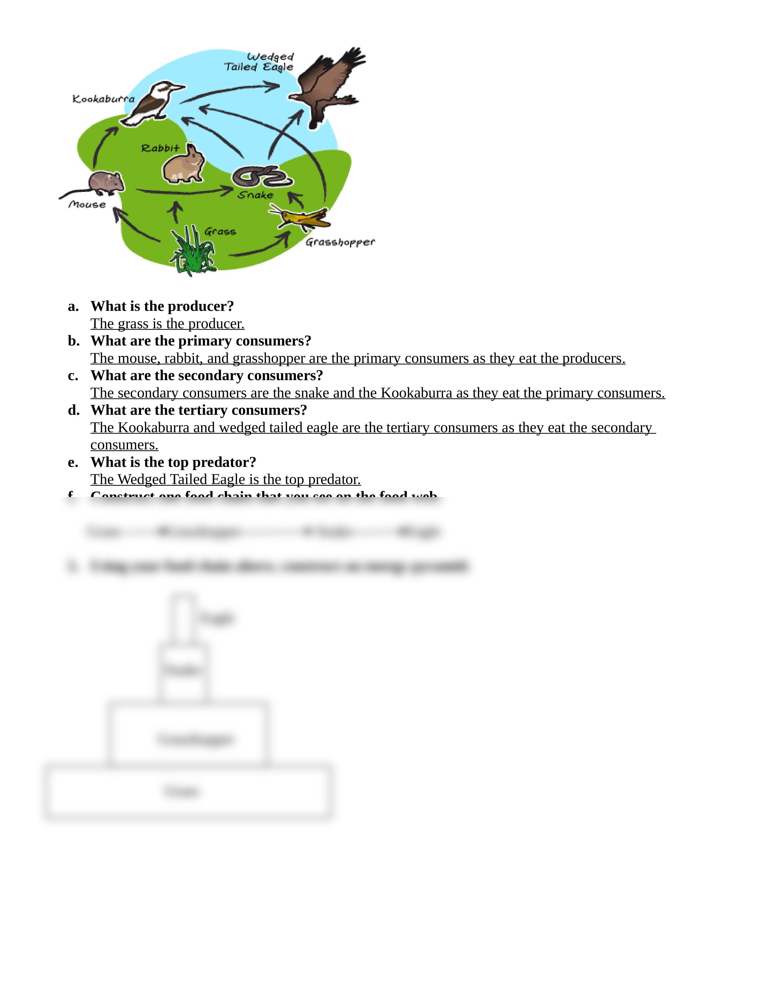 Energy Pyramid Worksheet.doc_dy90y3gpbyd_page2