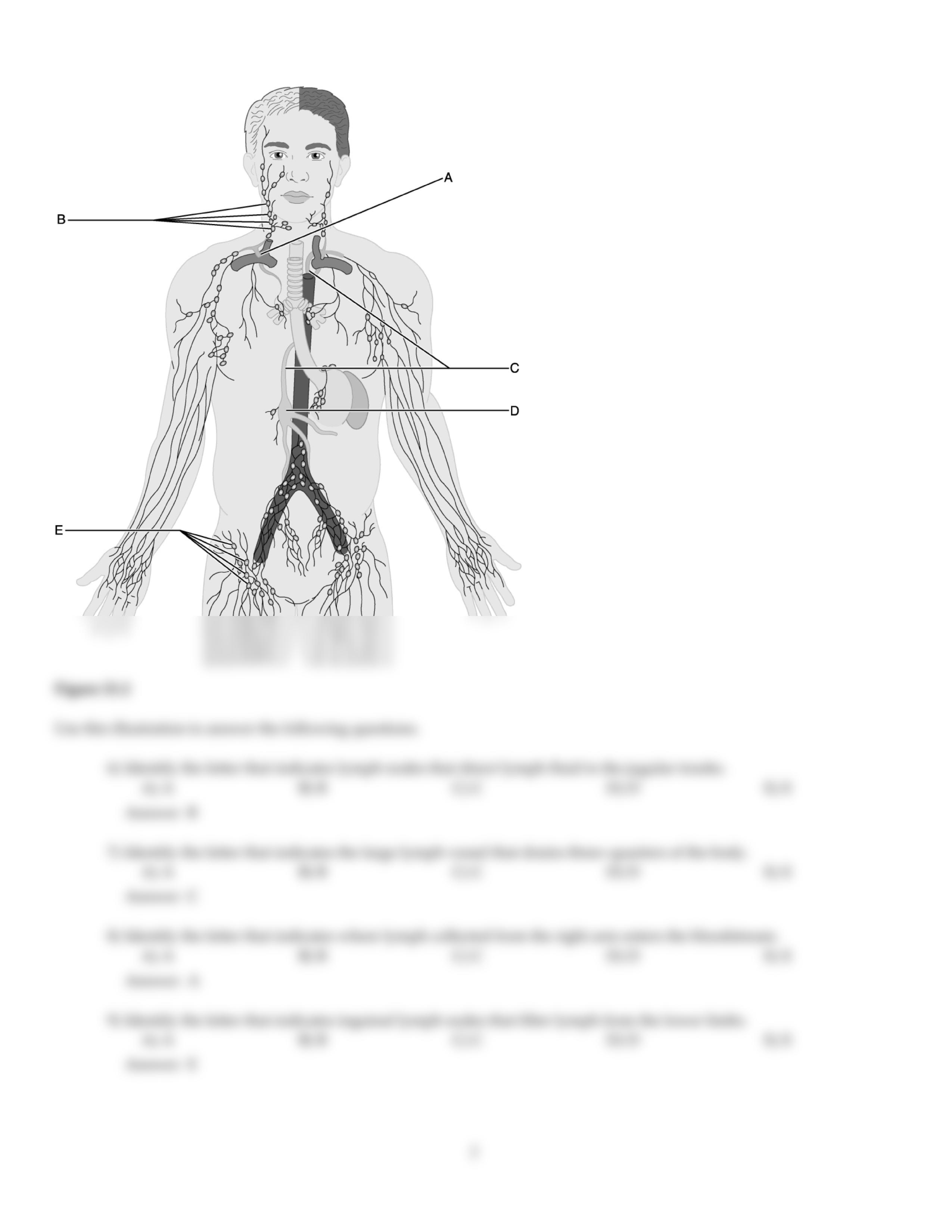 CH21.pdf_dy983mcd69a_page2