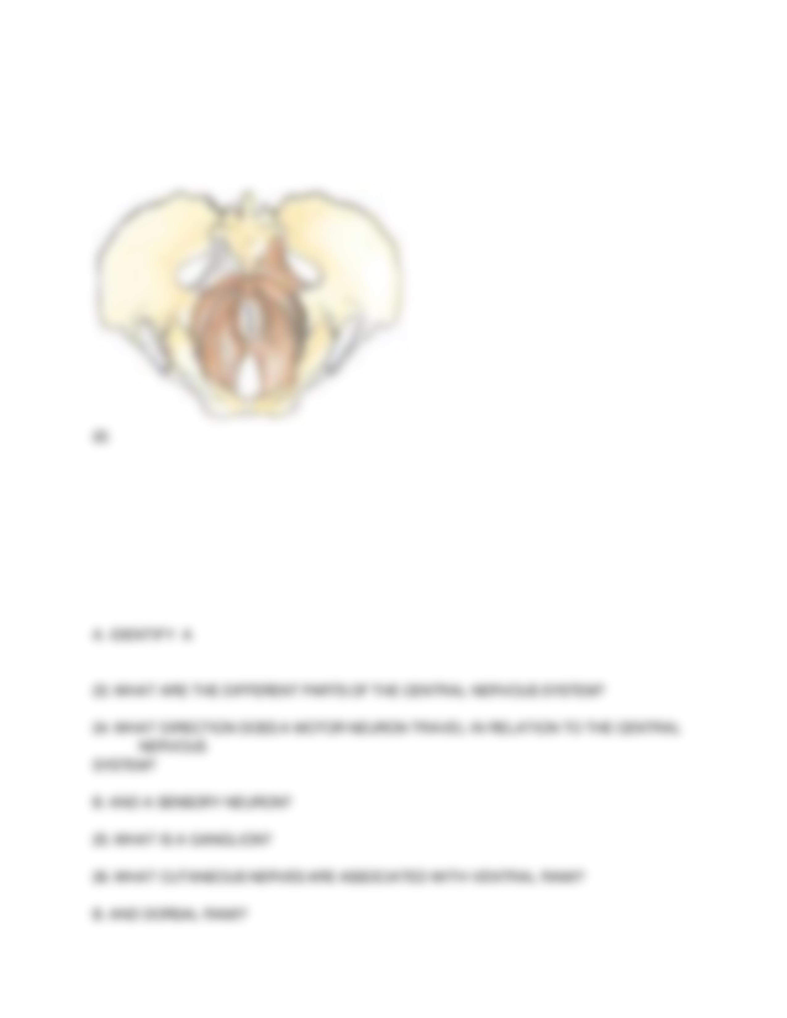 ANATOMY PRACTICE TEST_dycb61g3bb4_page3