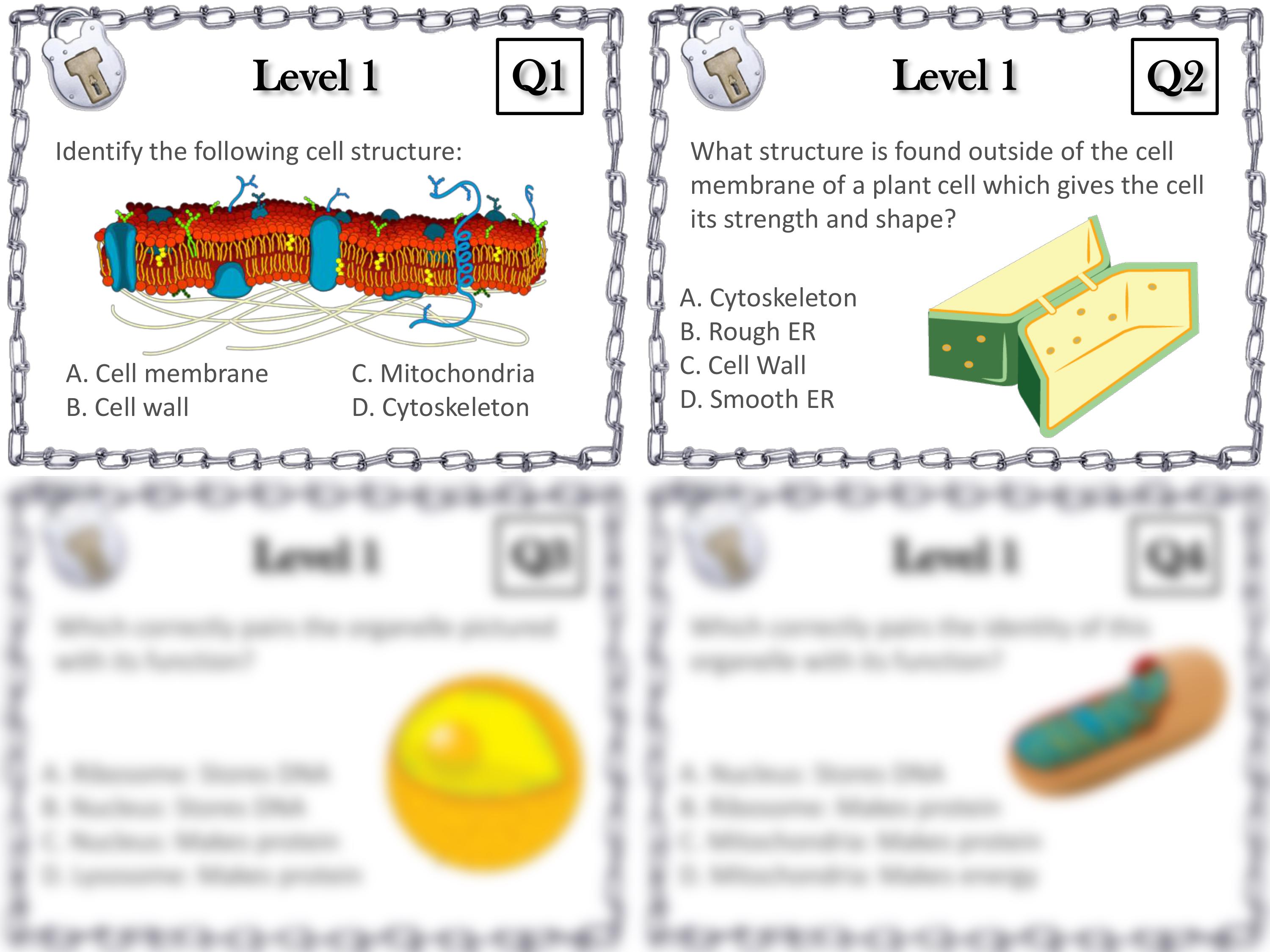 Allison Miller - Student Cell-Structures-Escape-Room.pdf_dynwwwqlxwz_page2