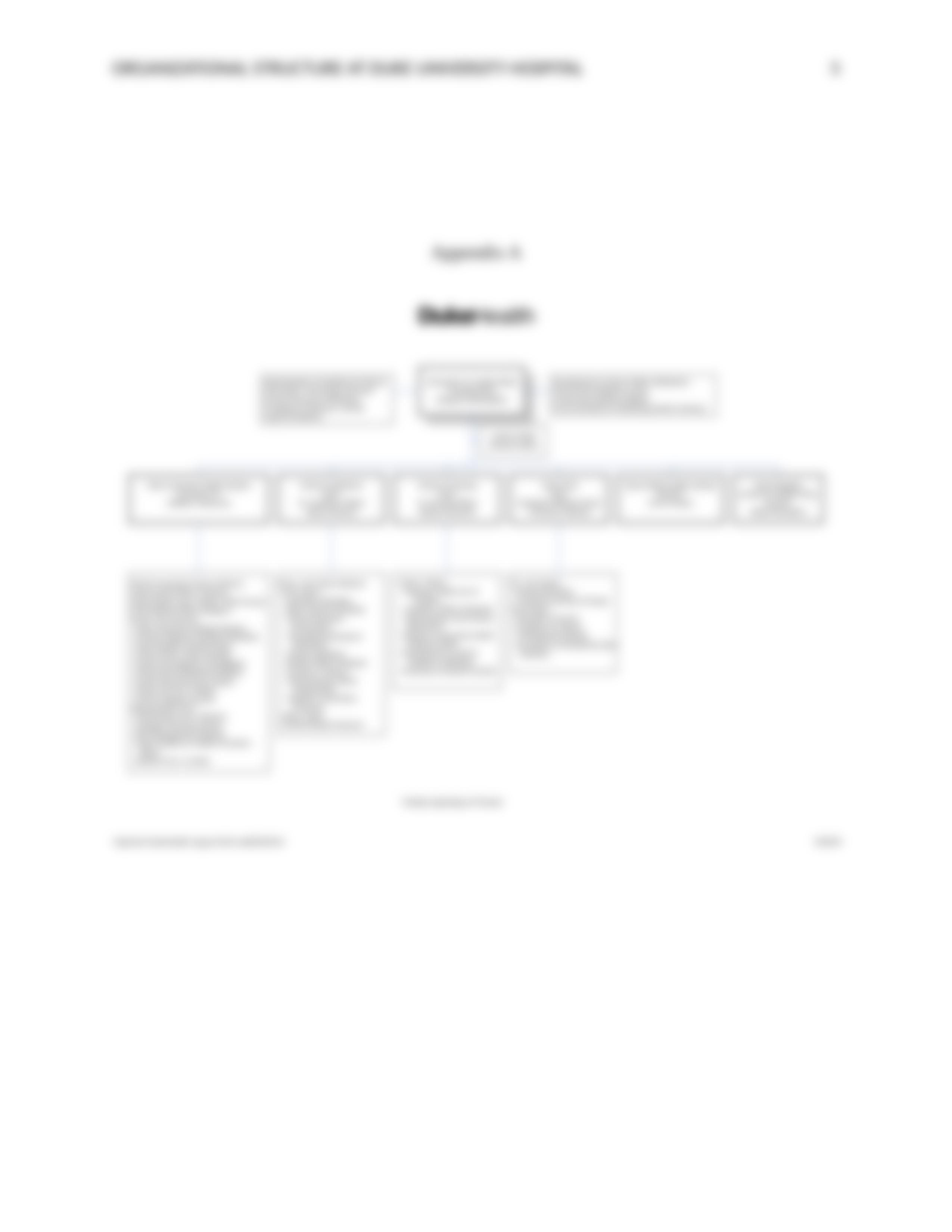 NSG 406 Organizational Structure and Models of Care.docx_dynxr088whr_page5