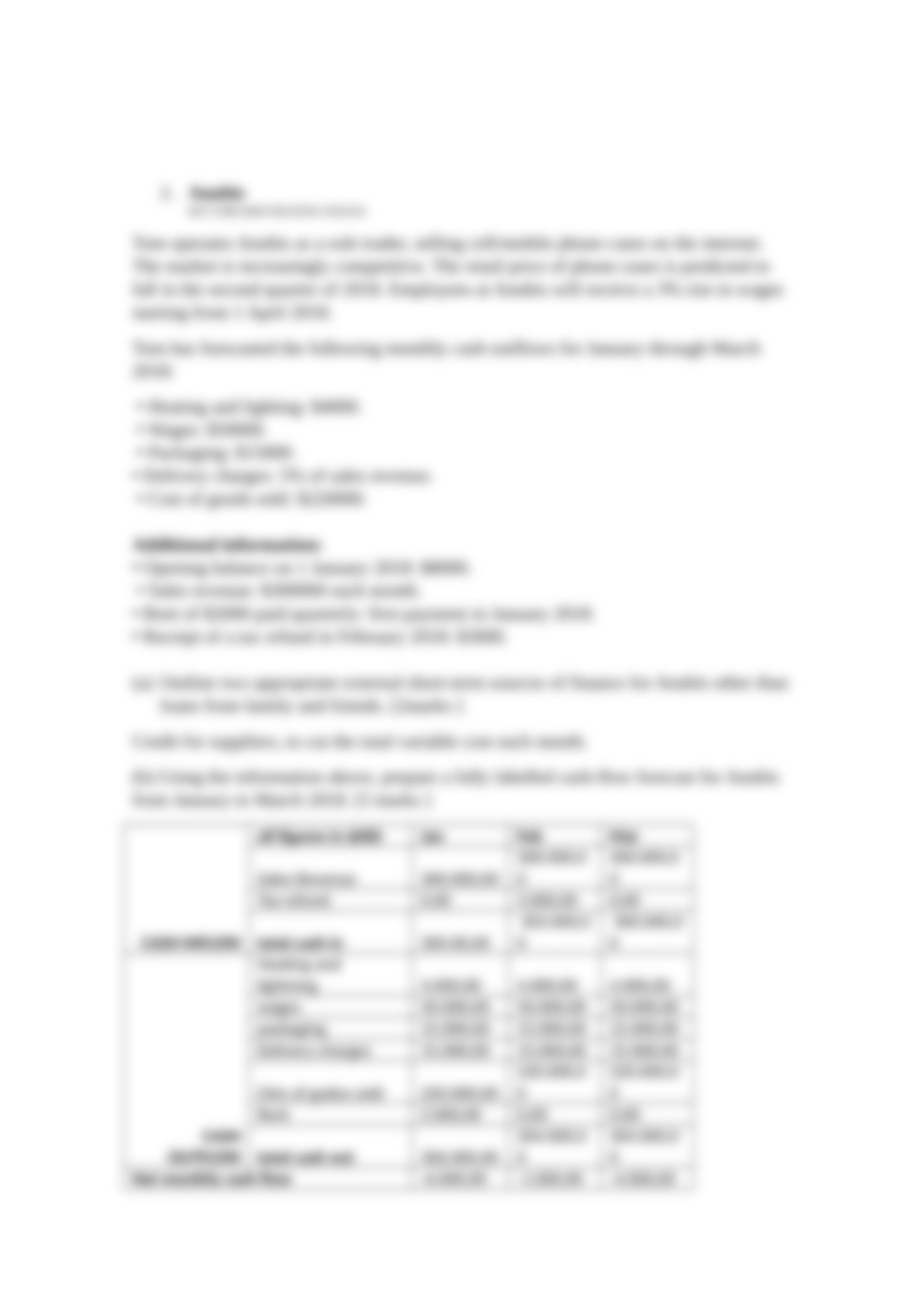 SA 3.9 Nails and Anubis ( cash flow) (1) (1).docx_dys6ldi18v7_page3