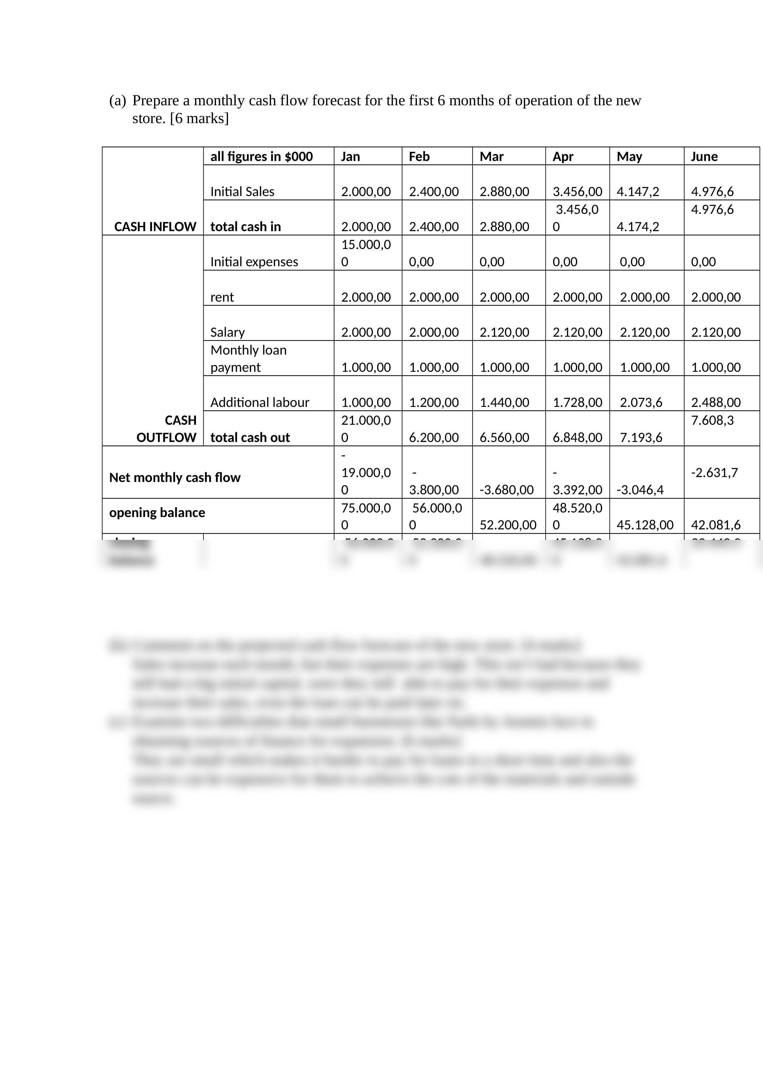 SA 3.9 Nails and Anubis ( cash flow) (1) (1).docx_dys6ldi18v7_page2