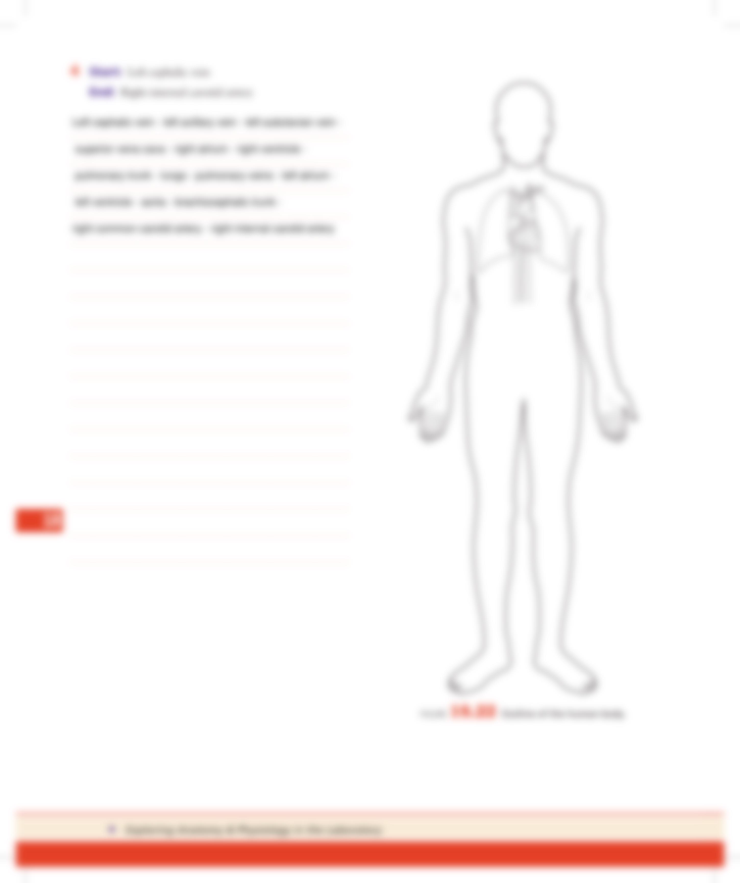 Unit 18 Exercise 18-3 Procedure 1.pdf_dyspy9ebsvw_page4