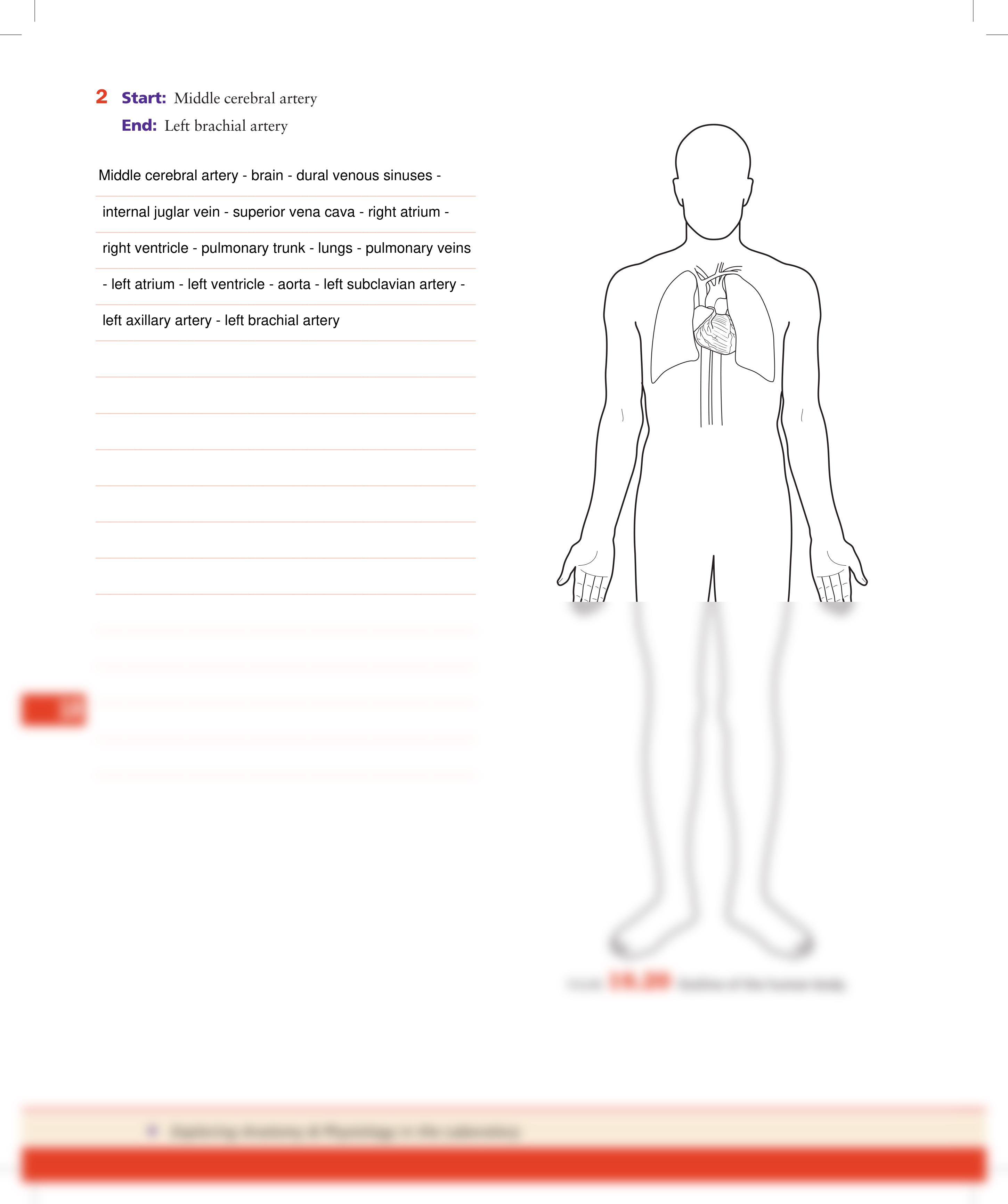 Unit 18 Exercise 18-3 Procedure 1.pdf_dyspy9ebsvw_page2