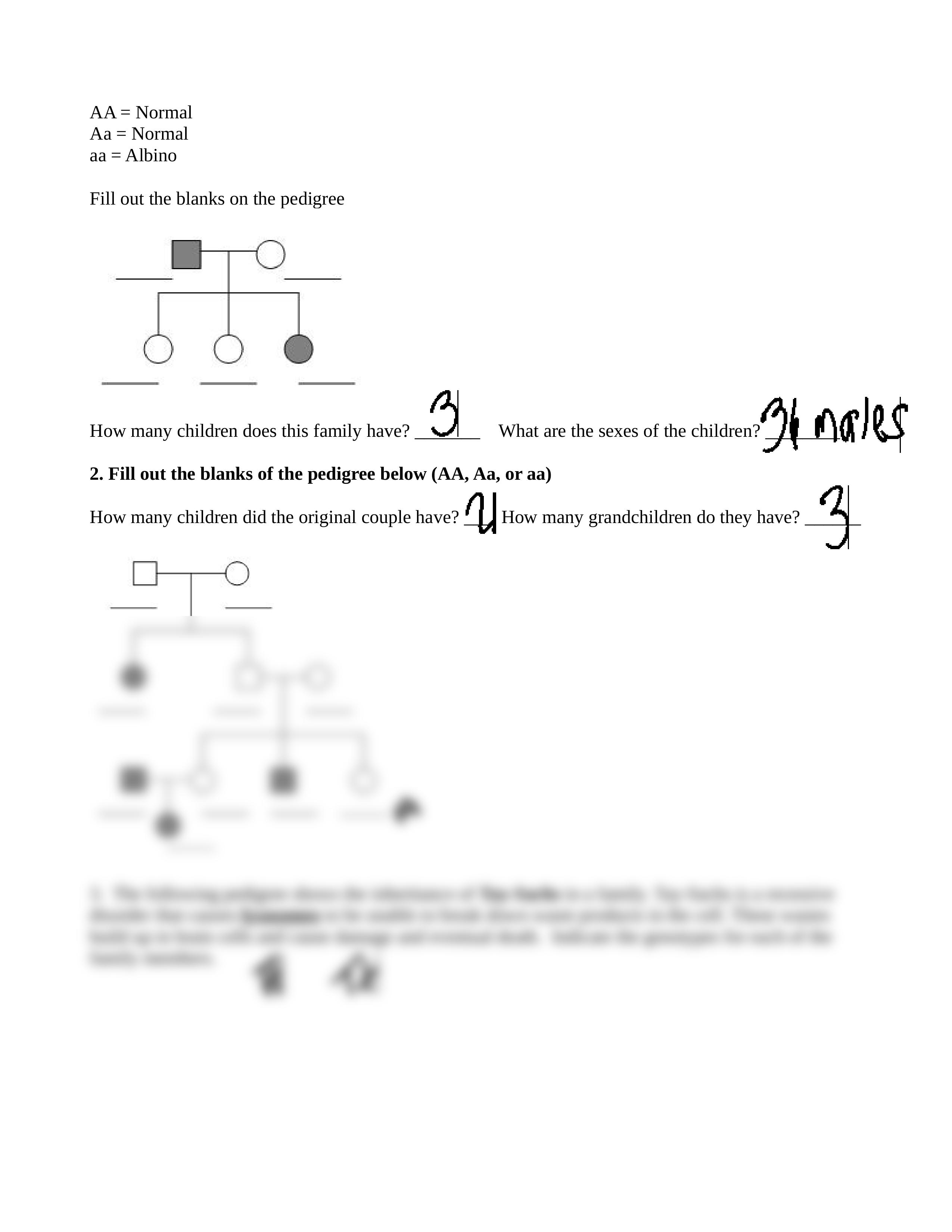 Constructing a Pedigree and Practice.docx_dyt5rbfpi2m_page2