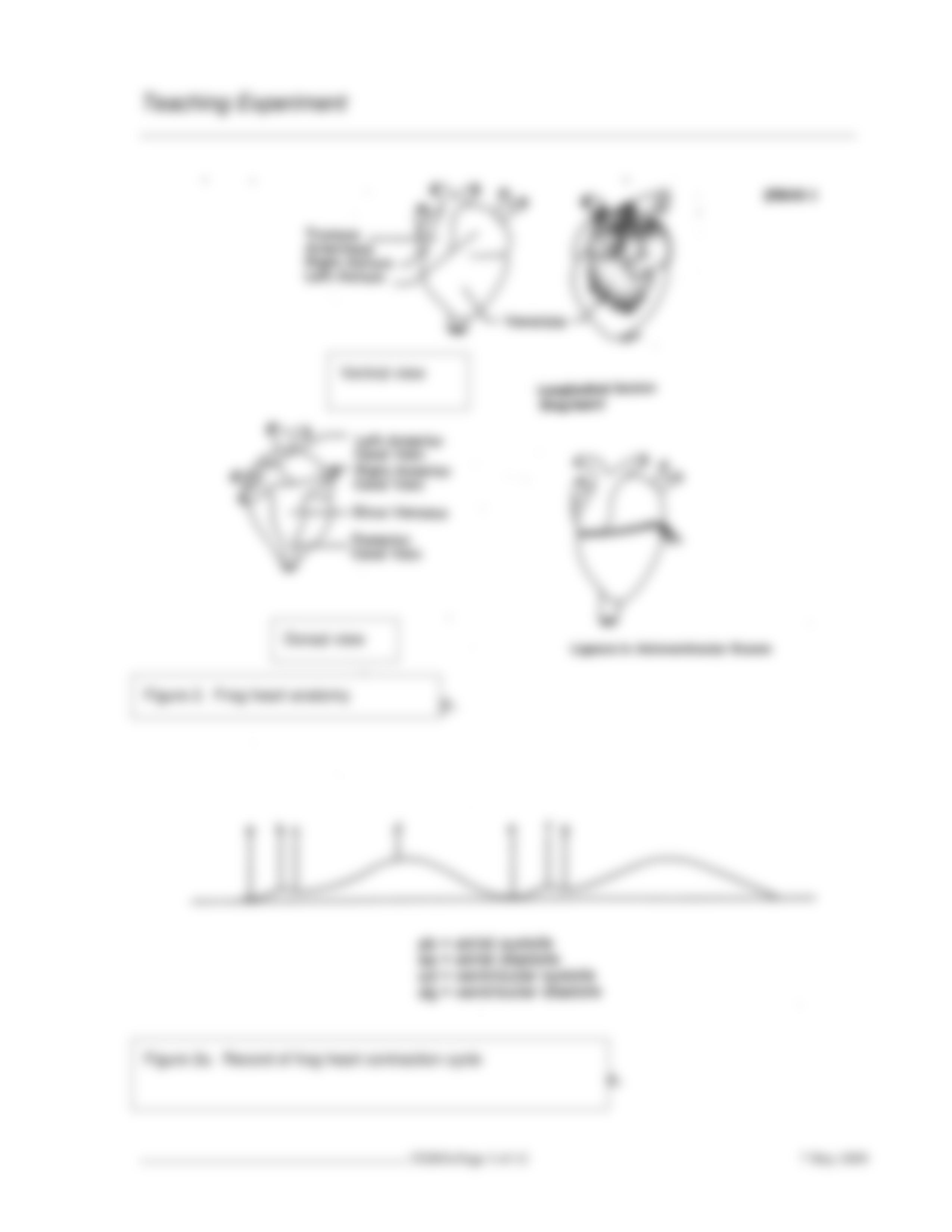 Frog Heart  and human ekg Protocol_1_dytwt6mmkpo_page3