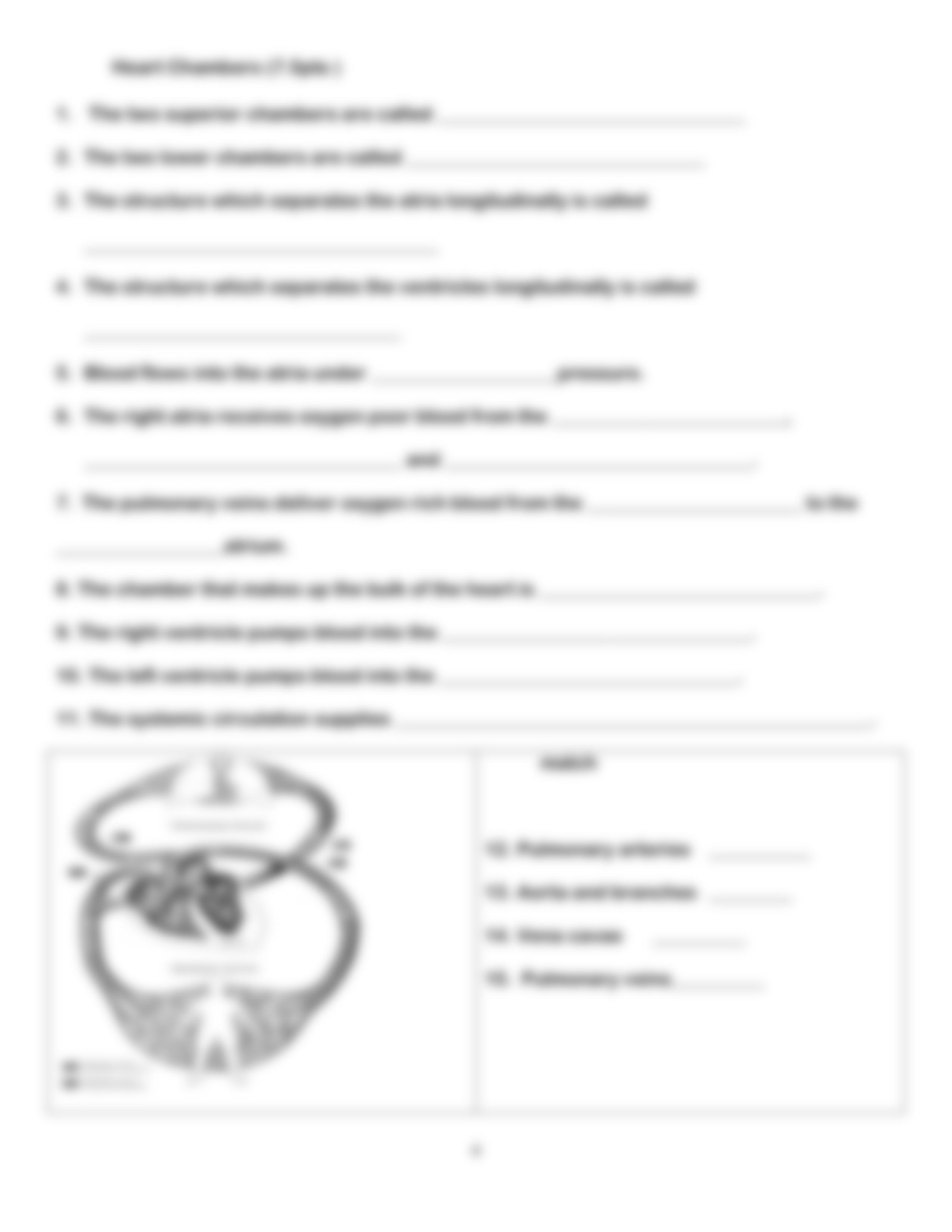 Bio12_week4_2015_dyy4h42p05n_page4