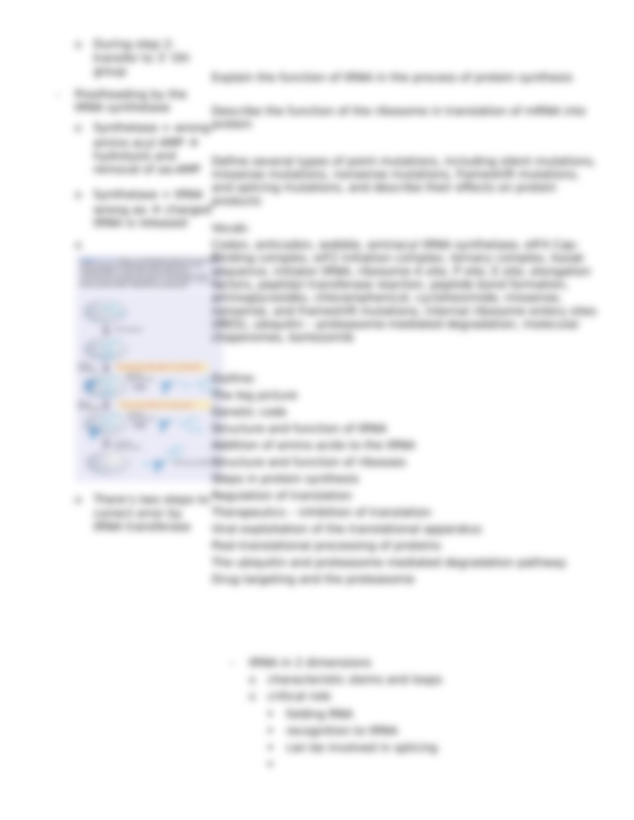 Lecture 12 Protein Synthesis, Modification, and Degradation_dyz3j2jjwh4_page4