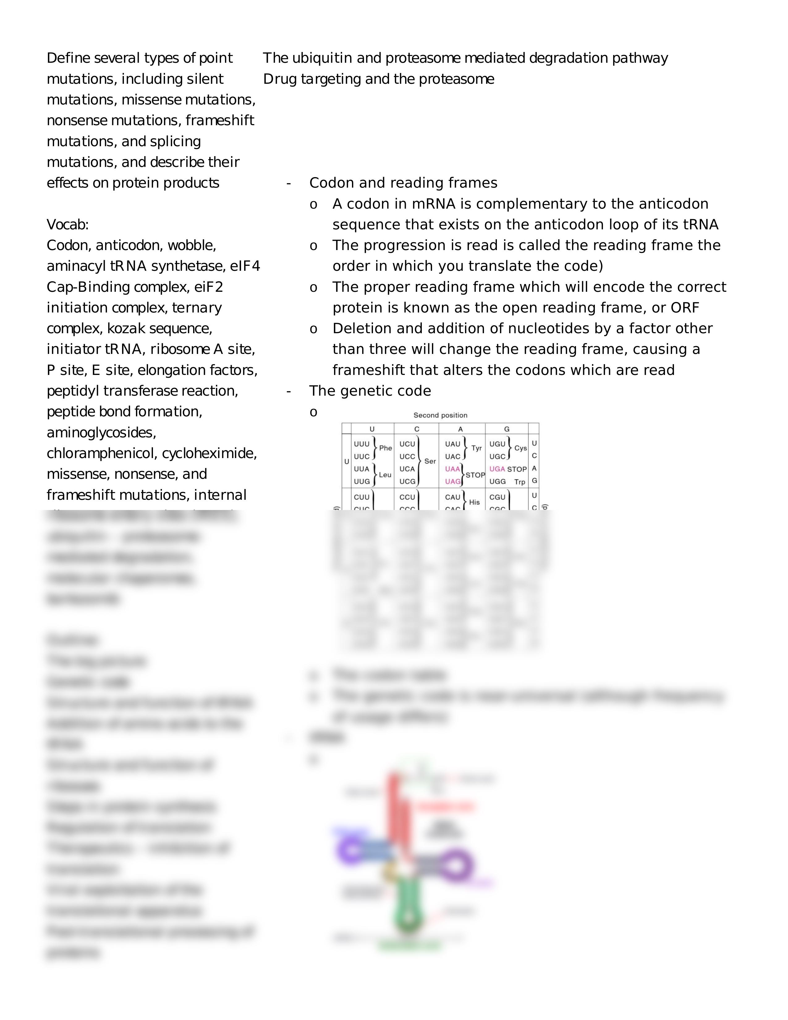 Lecture 12 Protein Synthesis, Modification, and Degradation_dyz3j2jjwh4_page2