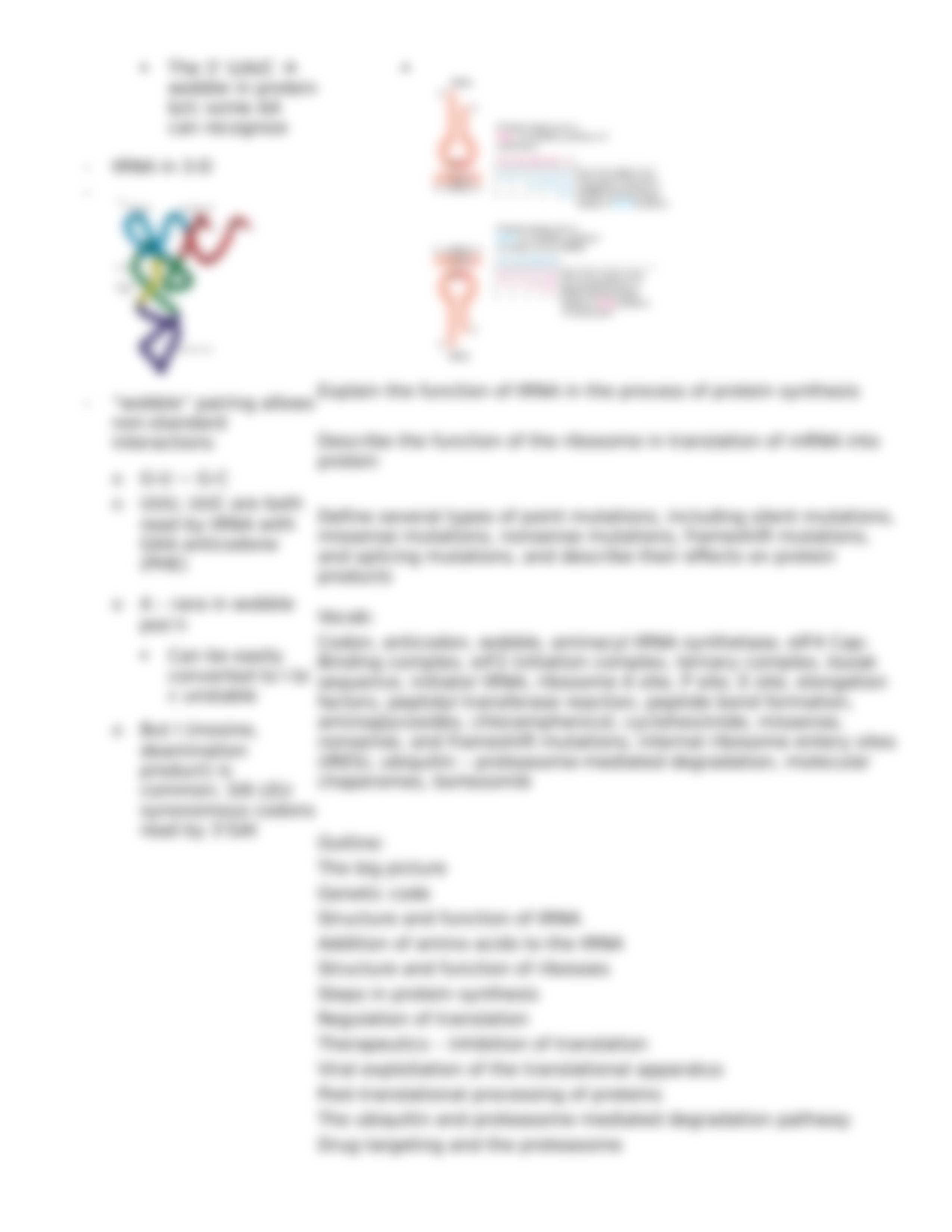 Lecture 12 Protein Synthesis, Modification, and Degradation_dyz3j2jjwh4_page5