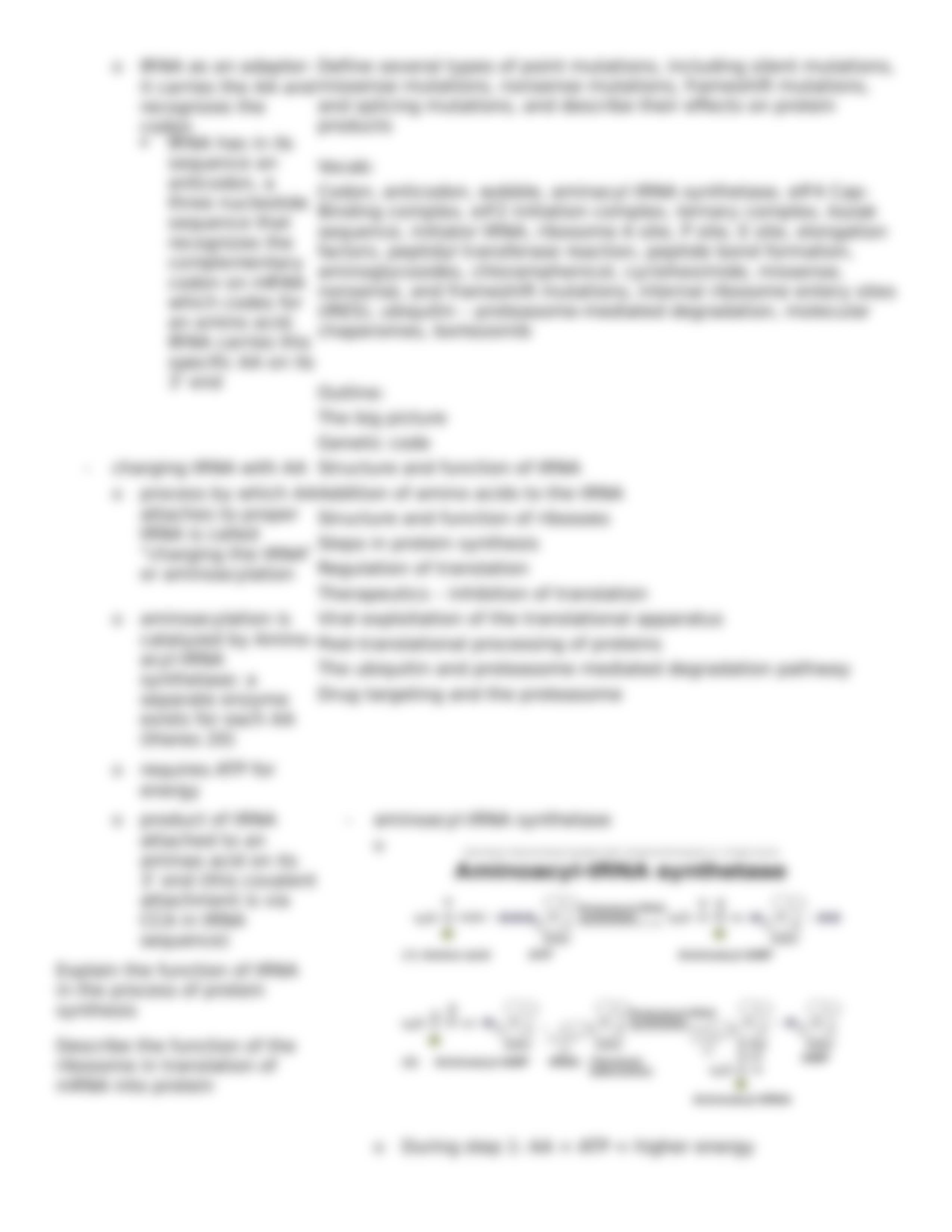 Lecture 12 Protein Synthesis, Modification, and Degradation_dyz3j2jjwh4_page3