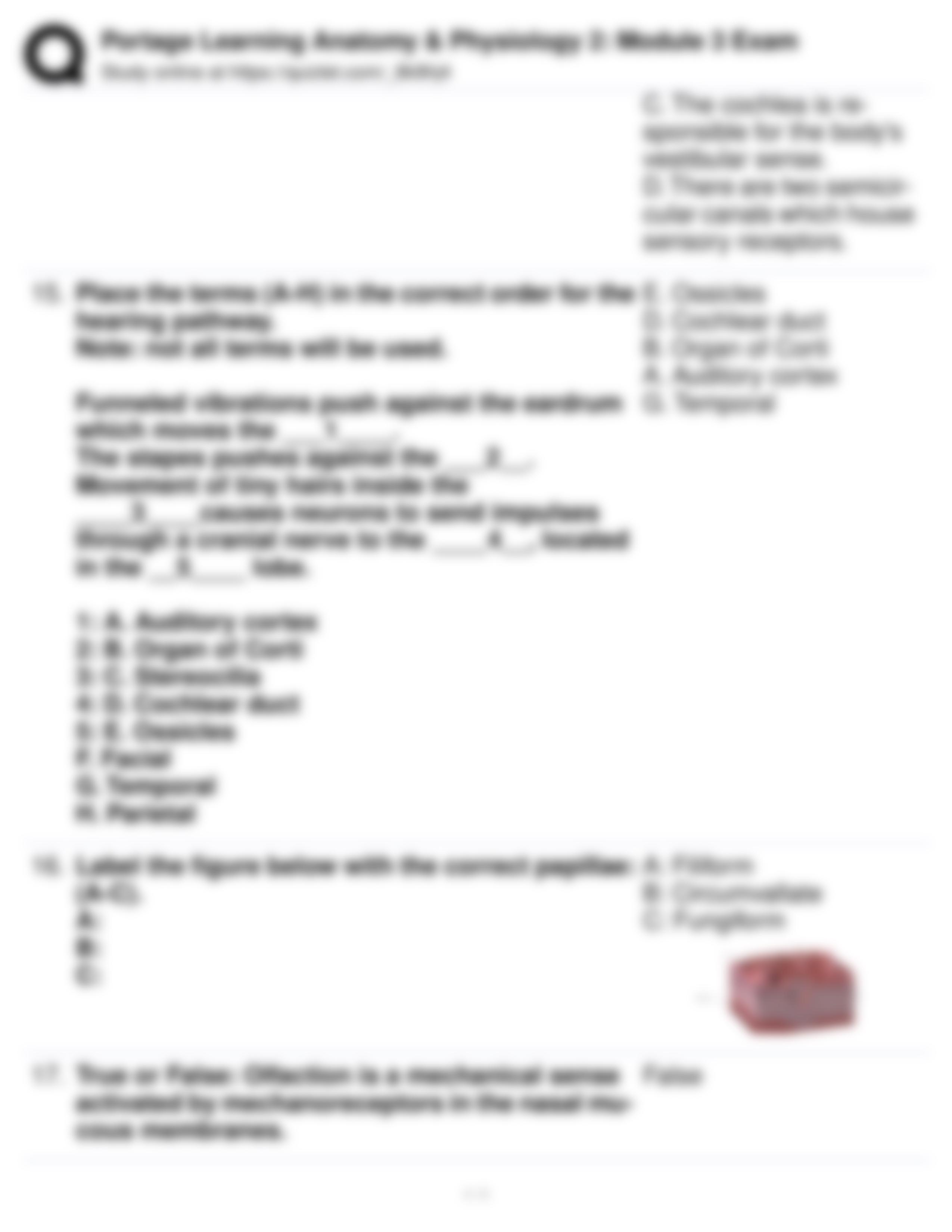 Portage Learning Anatomy & Physiology 2_ Module 3 Exam.pdf_dyzdlrcgl31_page4