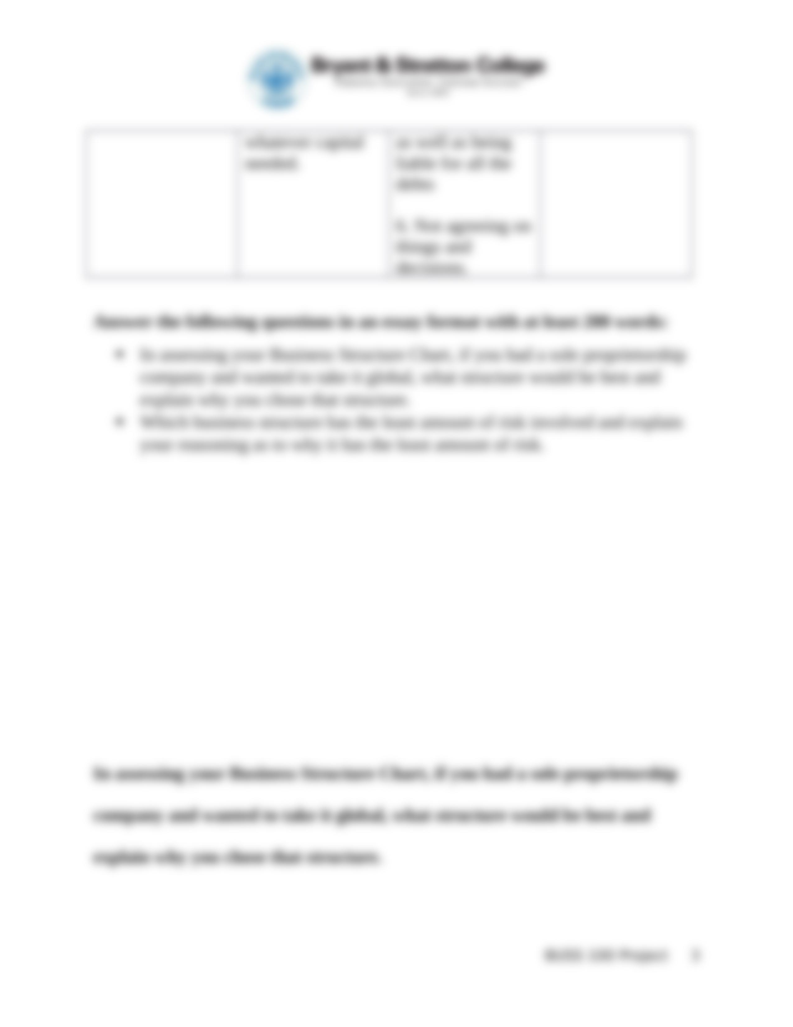 Bussiness Structure Project Template(2) (1).docx_dz361a33upu_page3