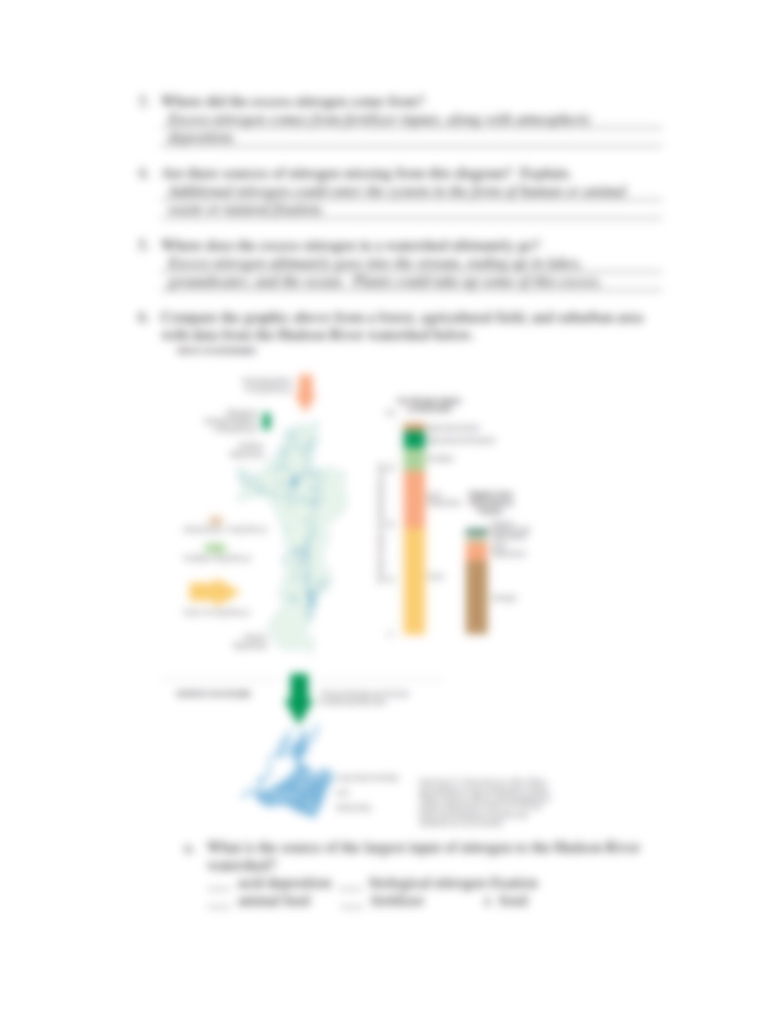 nitrogen_cycle_worksheet_answer_key.pdf_dz6rf2f5da8_page3