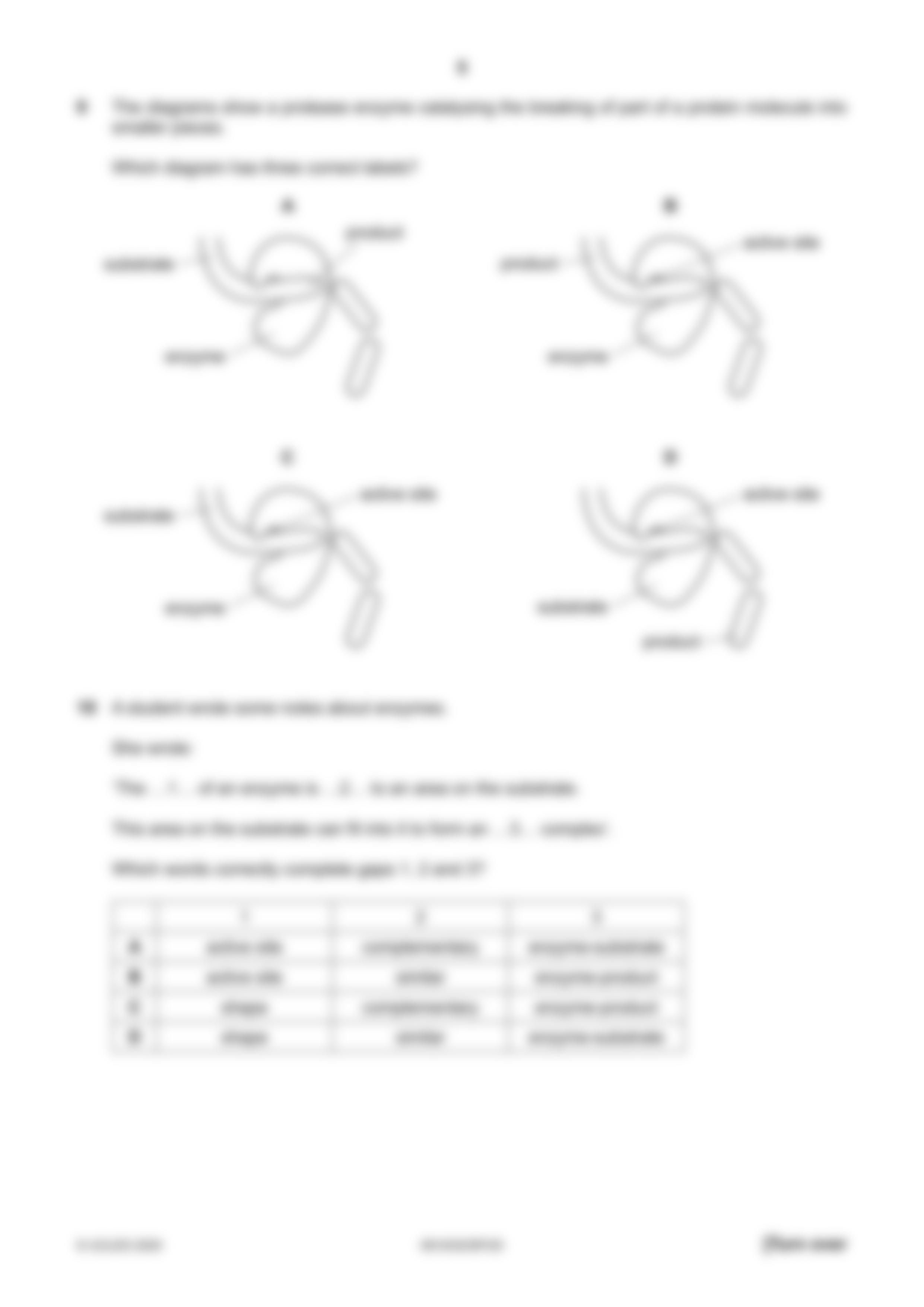 595632-2023-specimen-paper-2.pdf_dzb3oqbm2xl_page5