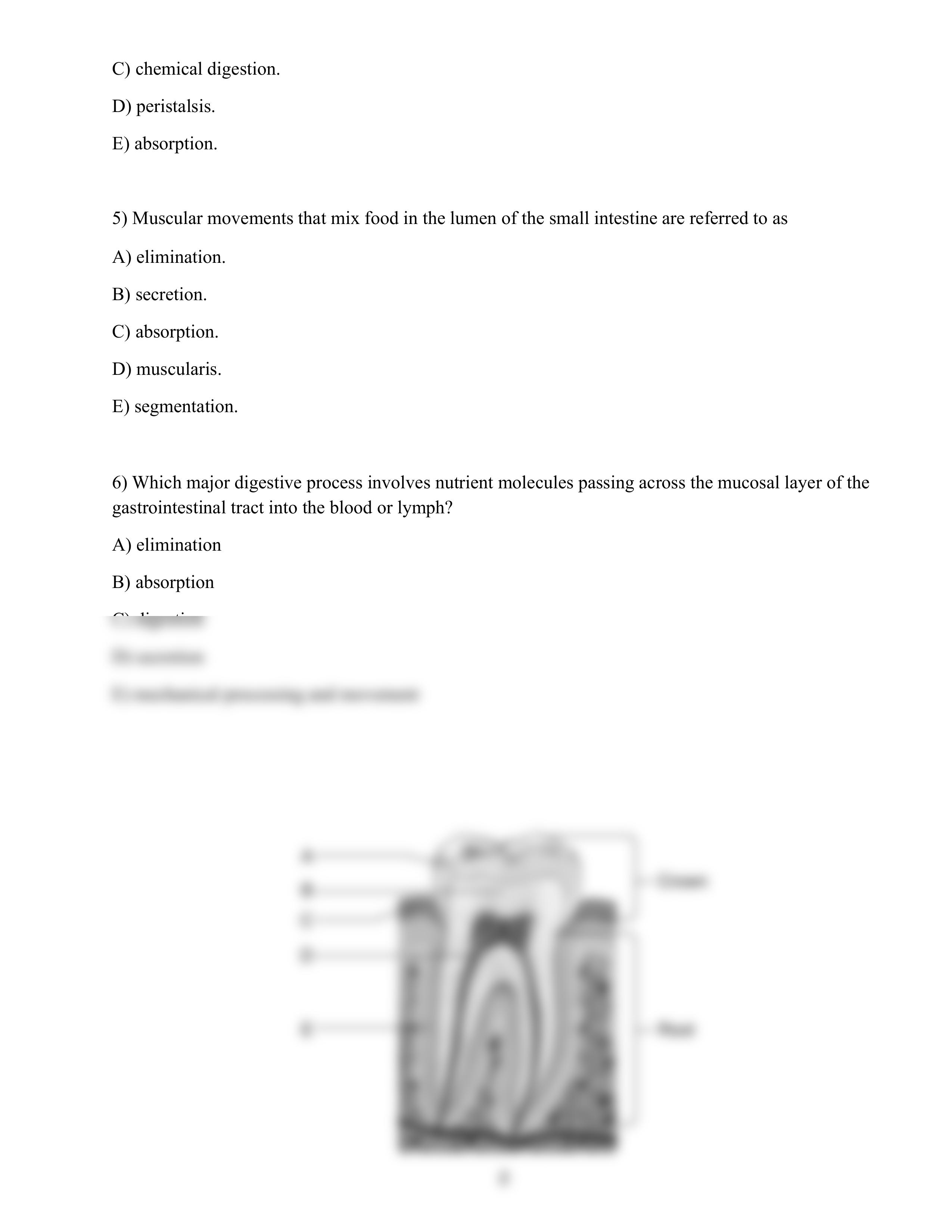 Test chapter 14.pdf_dzbw8vtup4z_page2