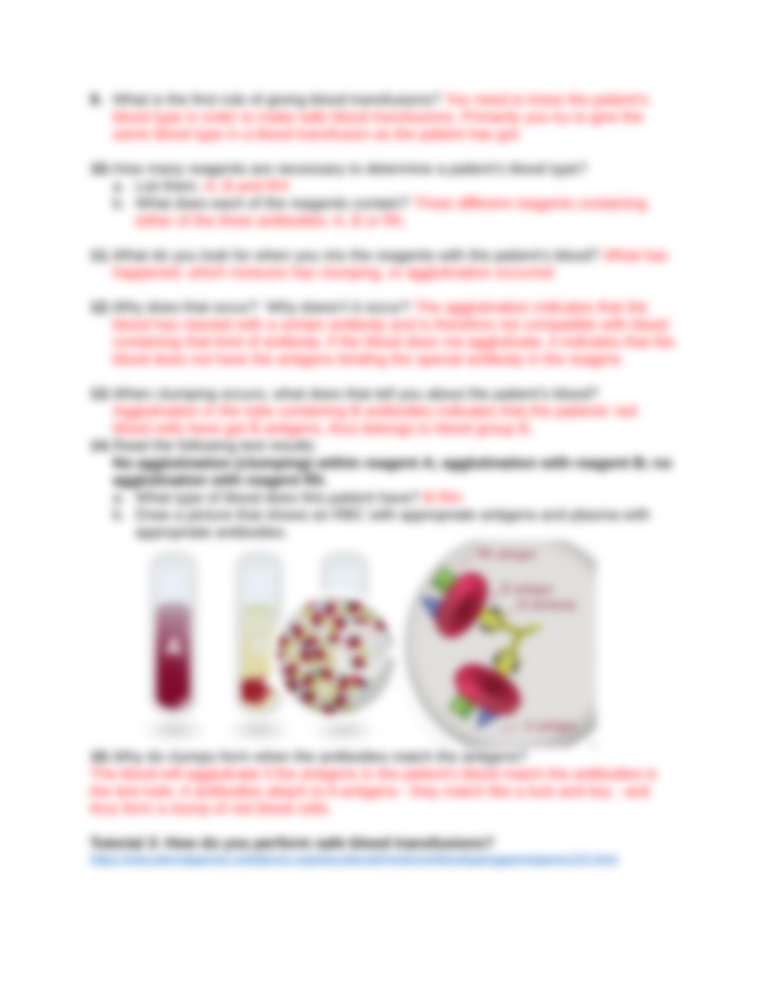 The_Blood_Typing_Game_21-22.docx_dzbwcqyibh0_page4