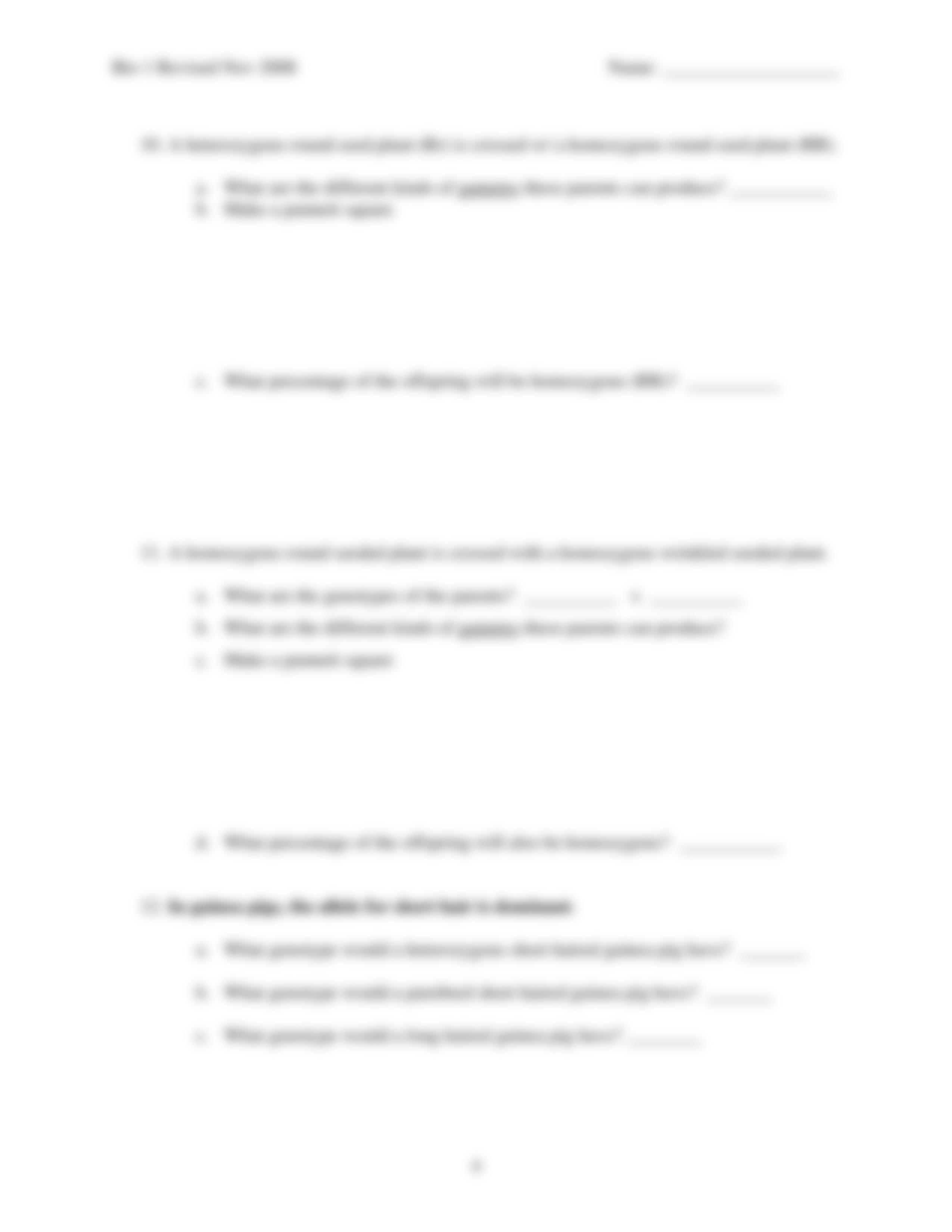 punnett-squares-worksheet.pdf_dzjzvr19qvm_page4