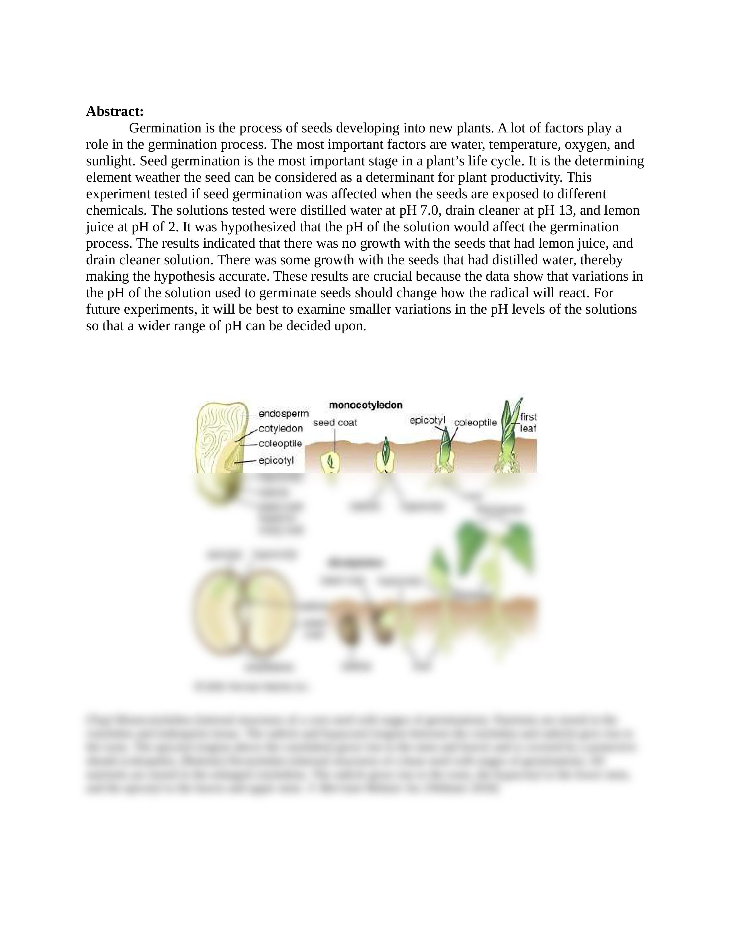 Seed Germination Lab.docx_dzkwf8sc62n_page2