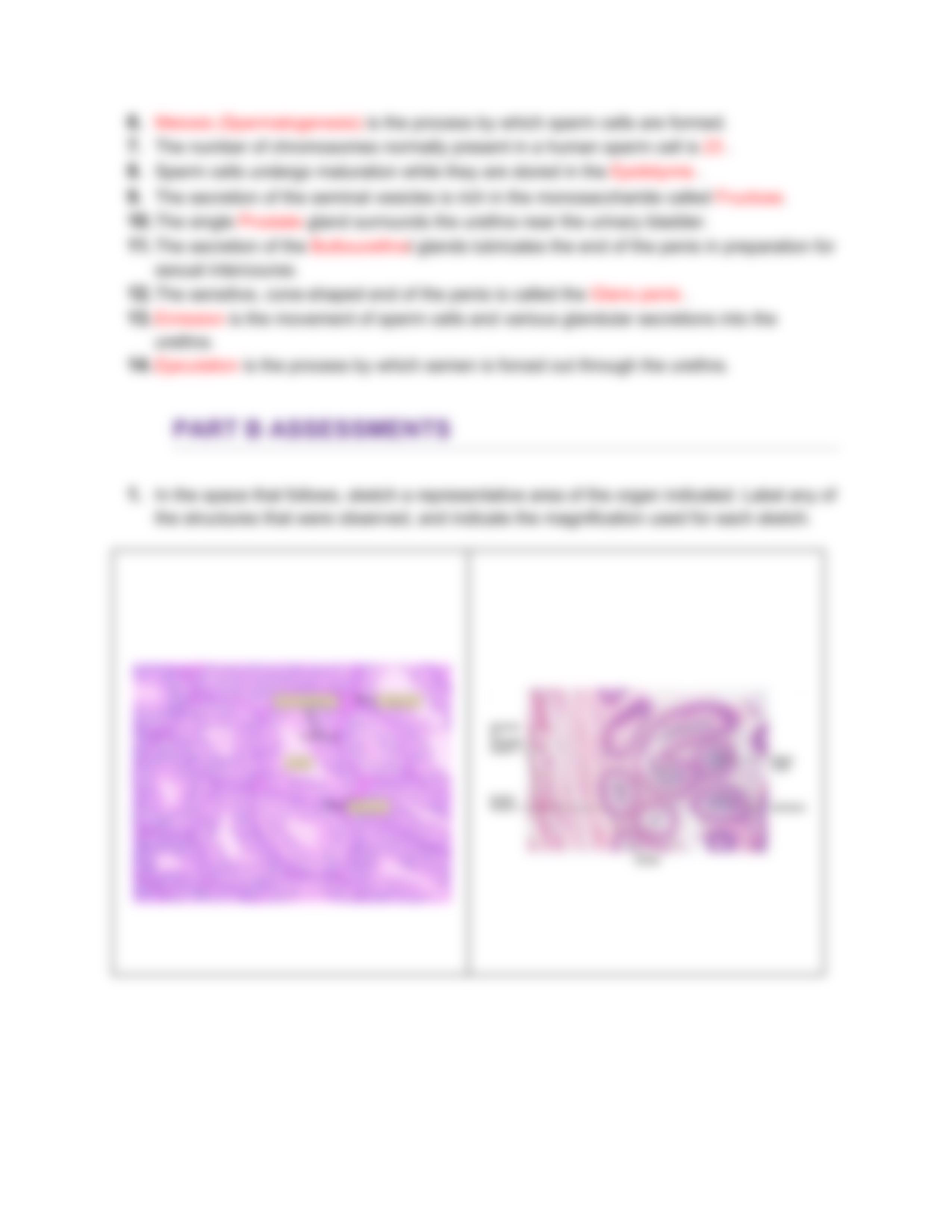 Lab 50 (1).pdf_dzl4fu0aspq_page3