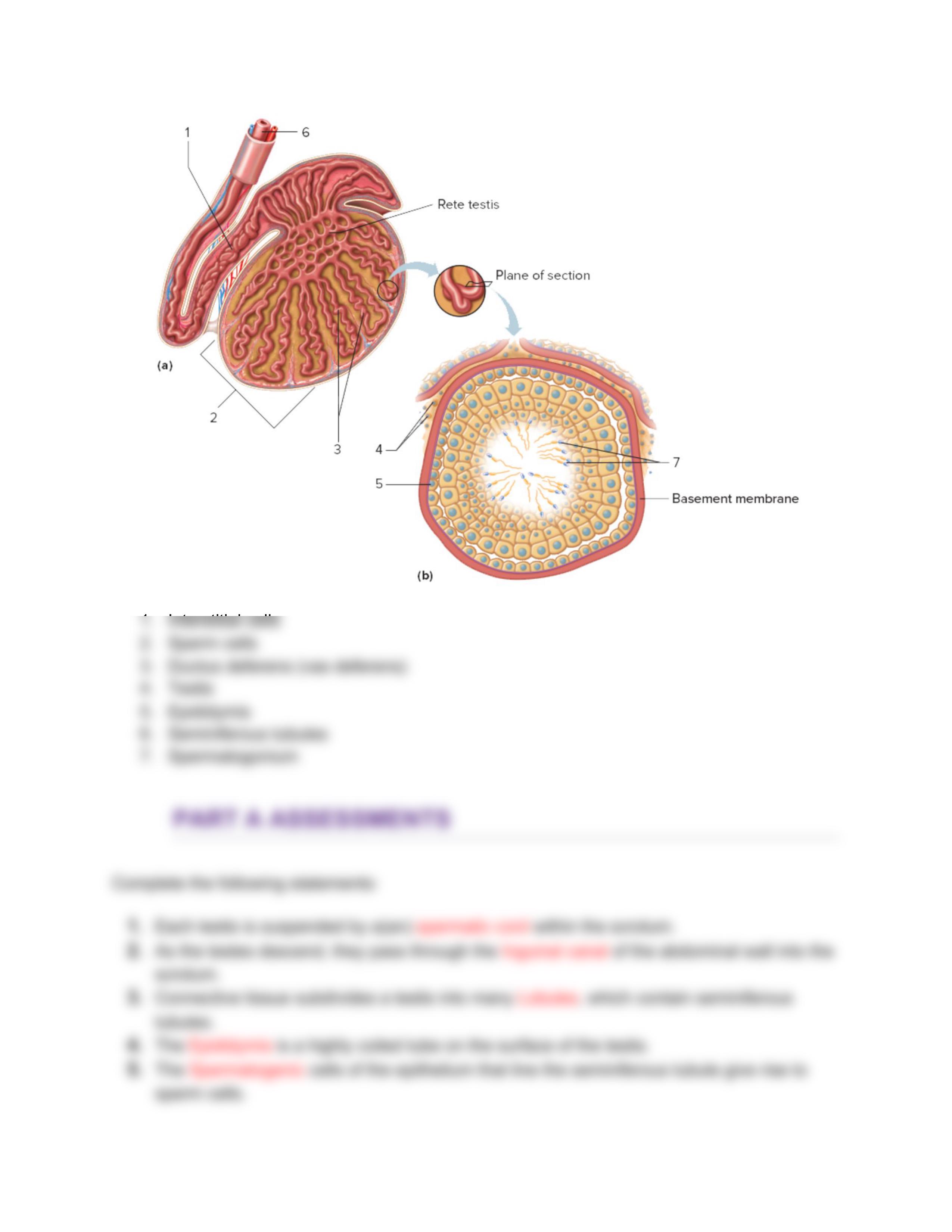 Lab 50 (1).pdf_dzl4fu0aspq_page2