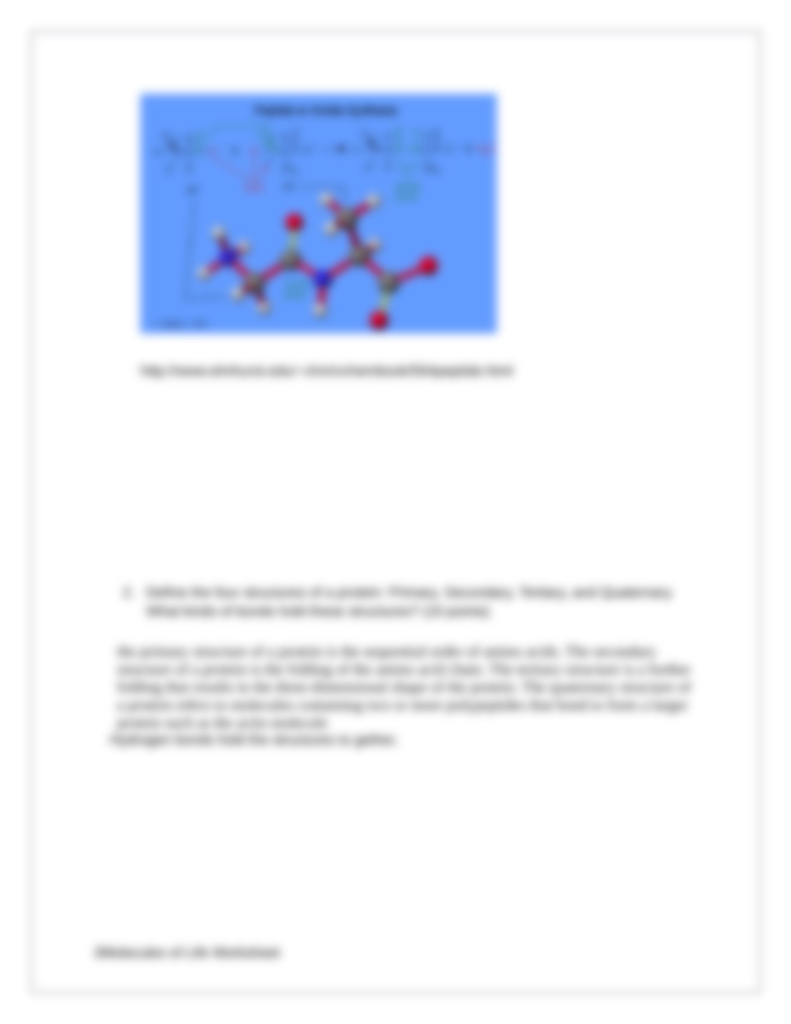 Molecules of Life Worksheet 2_dzpcbabsvm8_page3