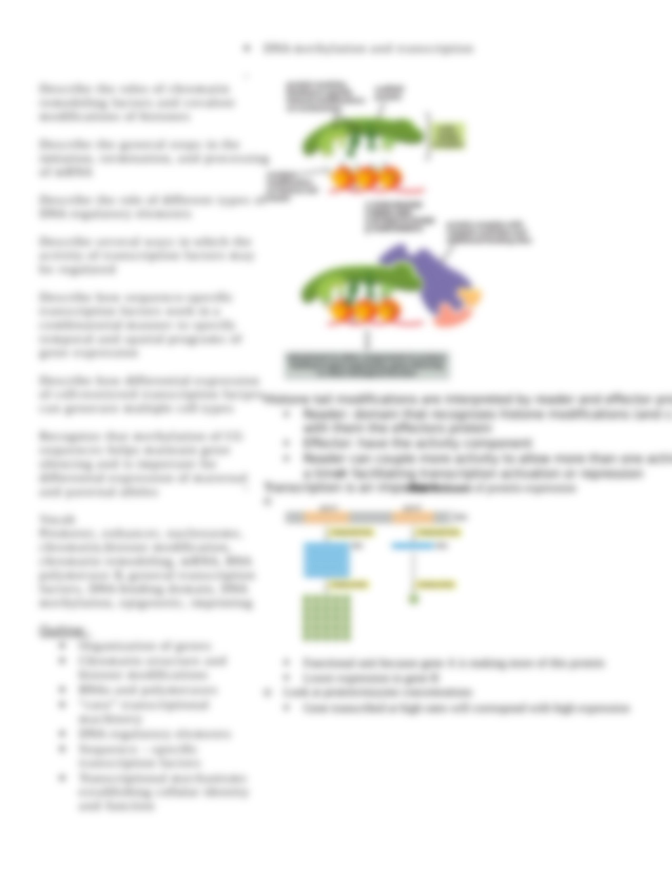 Lecture 07 Control of Transcription_dzt862aab1o_page3