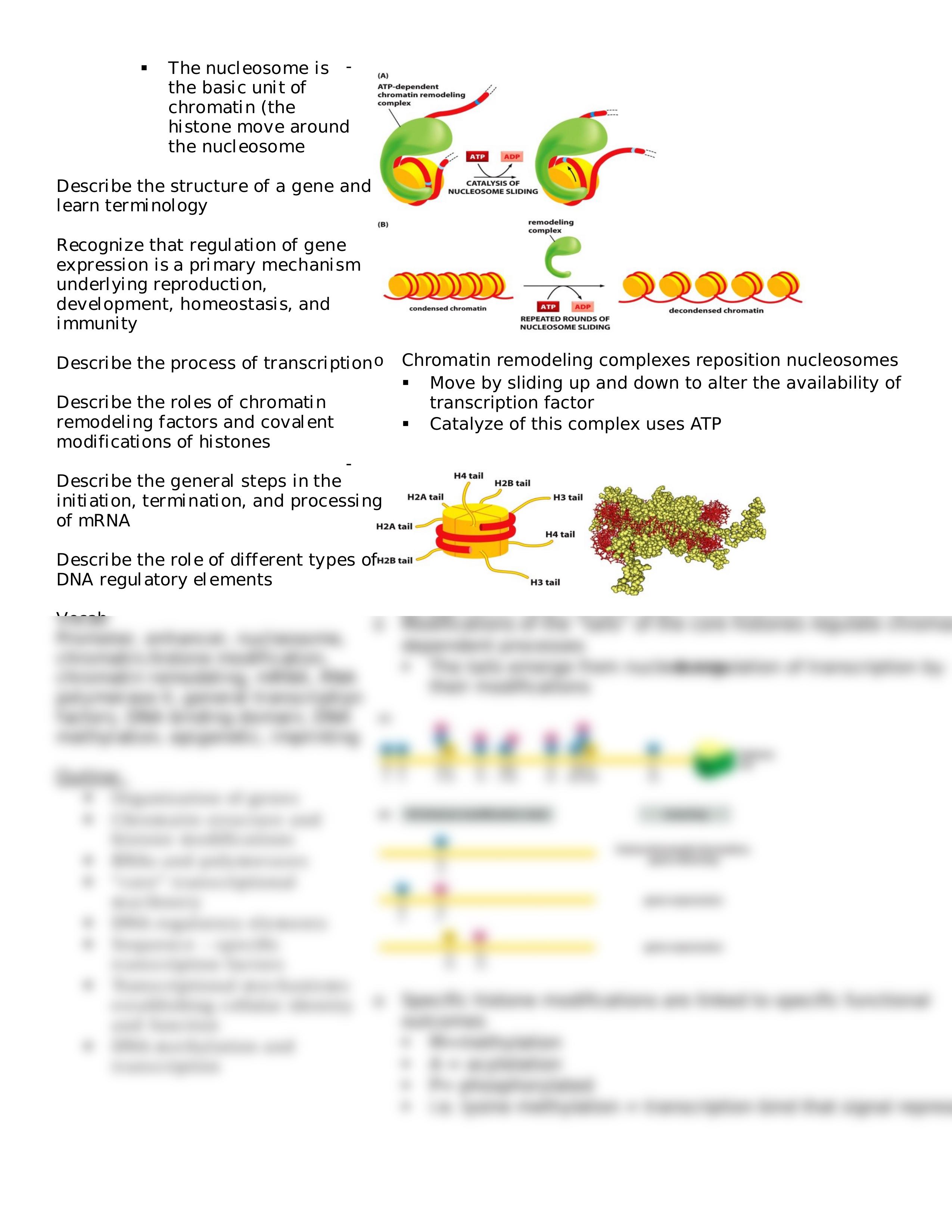 Lecture 07 Control of Transcription_dzt862aab1o_page2