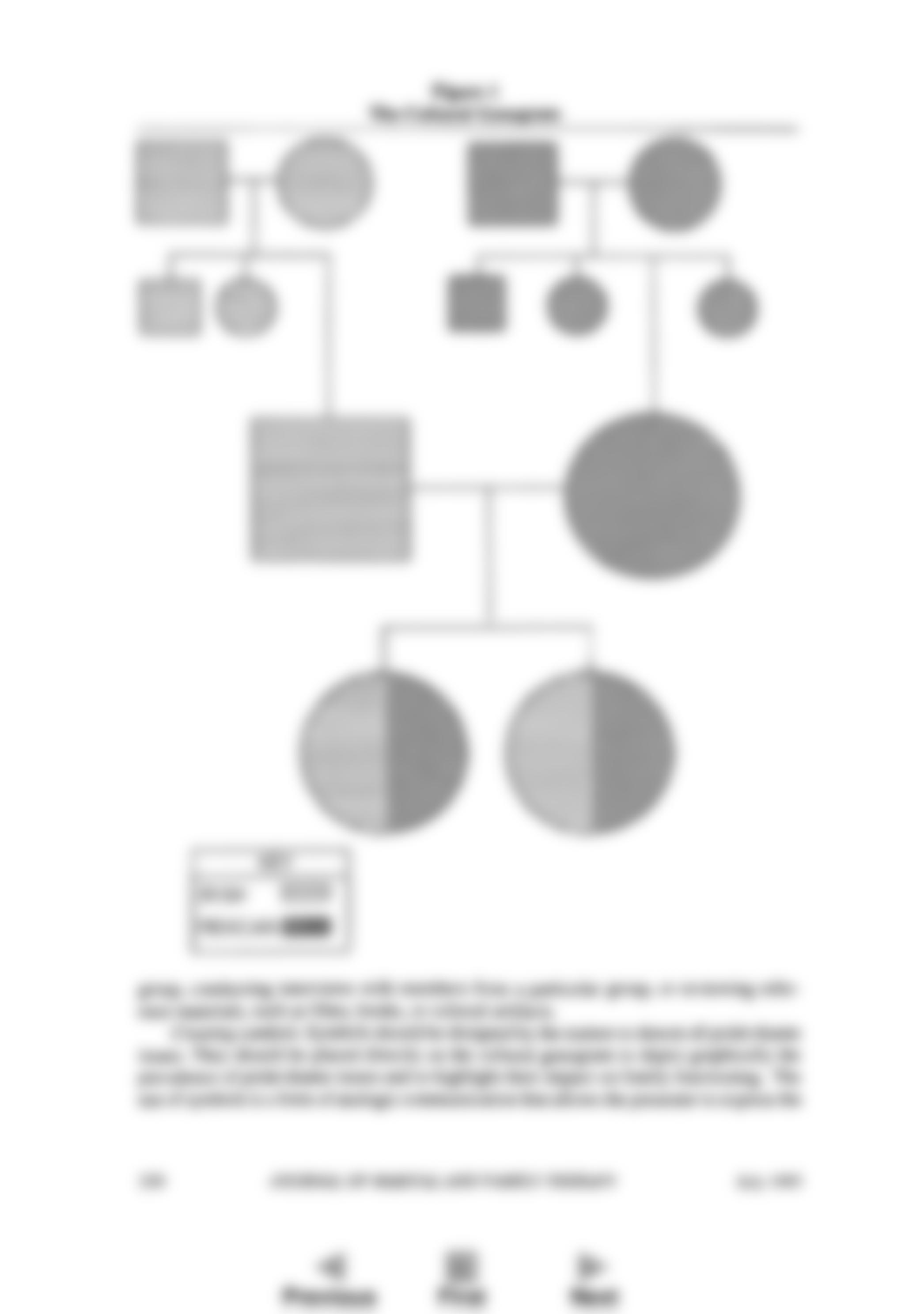 The_Cultural_Genogram_Key_to_Training_Culturally_C.pdf_dzt906elftu_page5