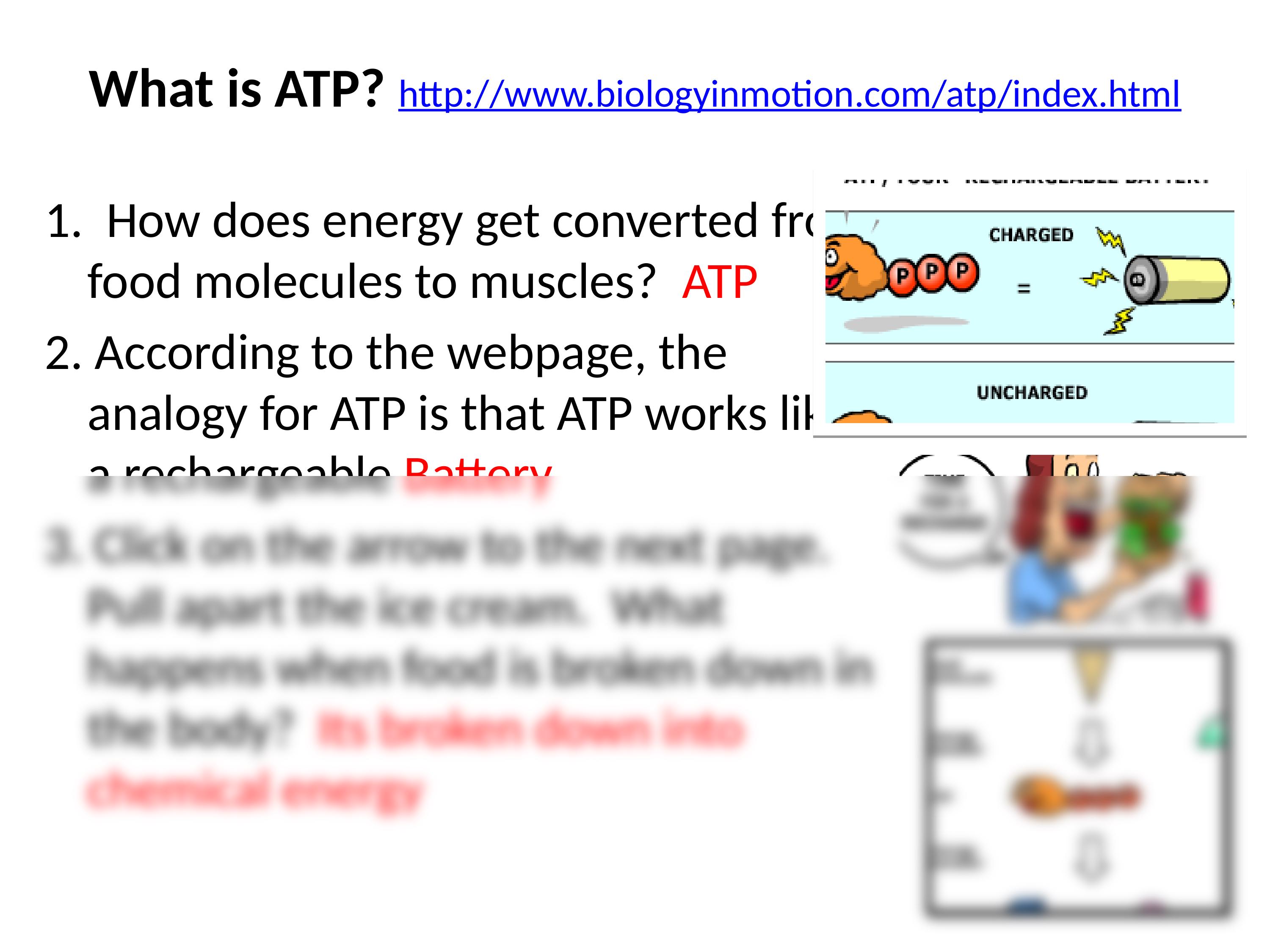 5b atp-ps-cell resp wq key_dzvnxugp10k_page2