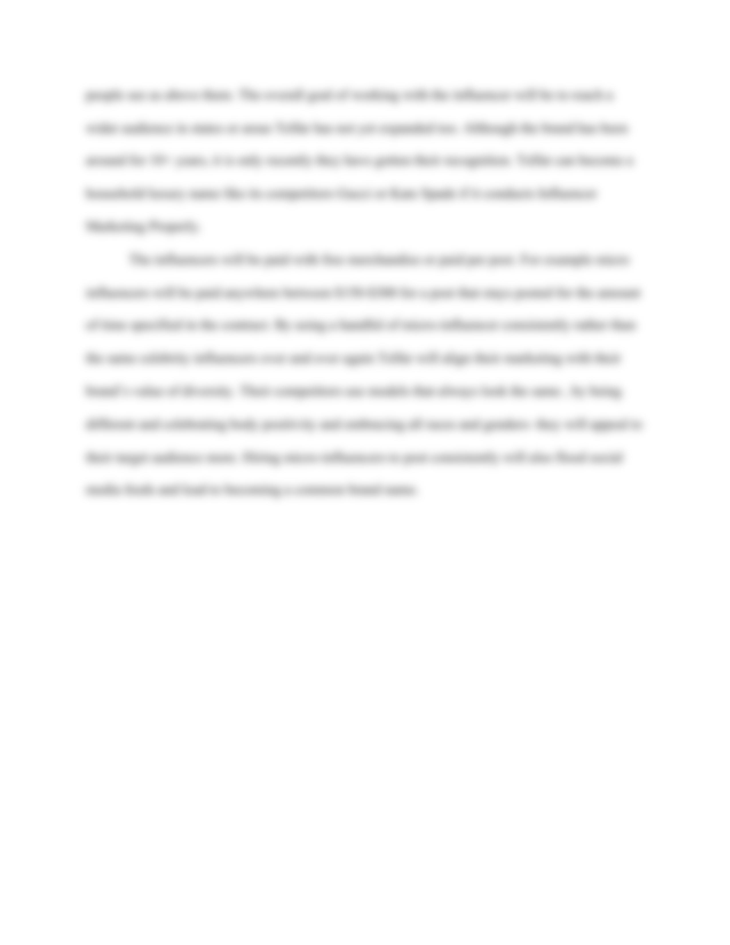 Fashion Marketing Plan.pdf_dzw095fec5d_page5