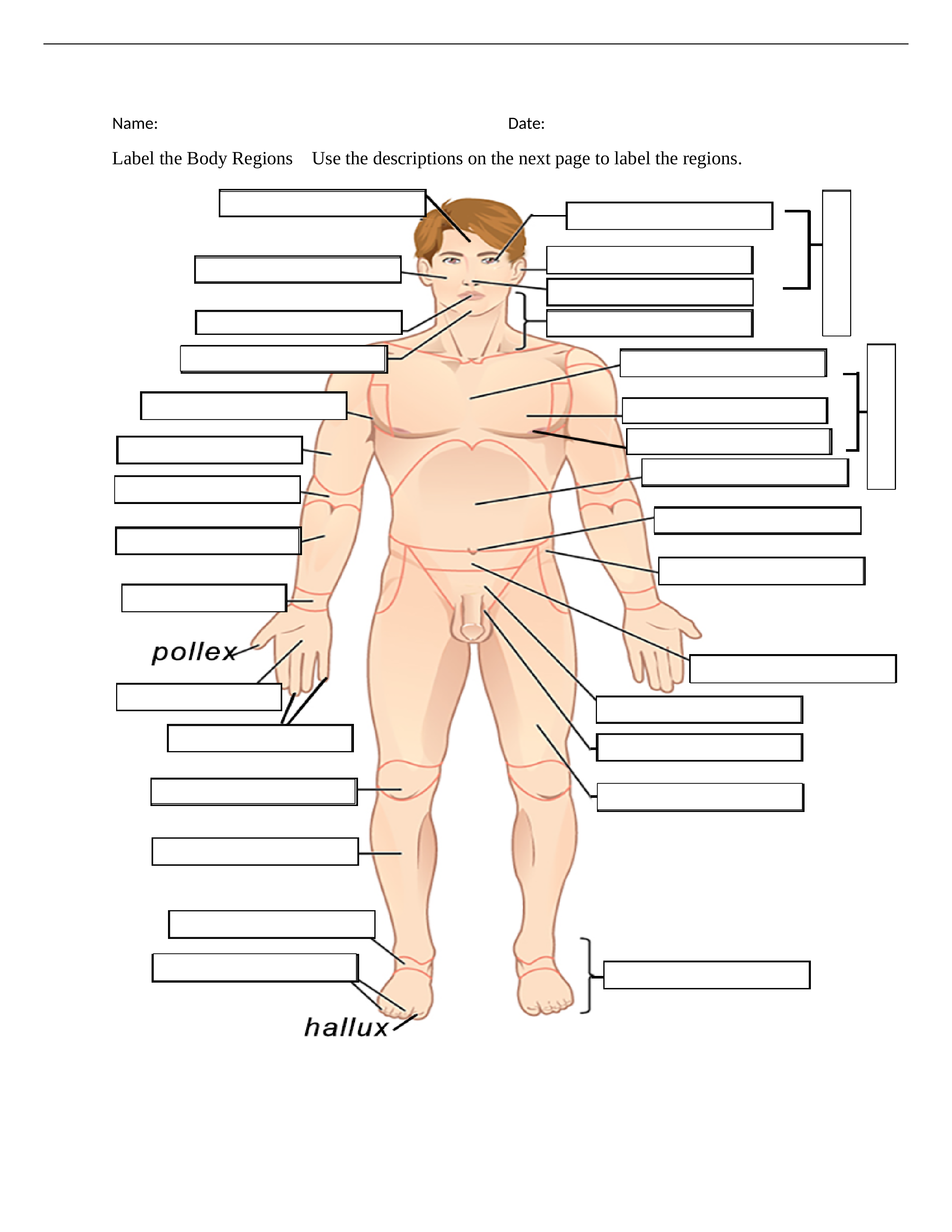 Body Region Labeling.docx_d0amxq2ljnr_page1