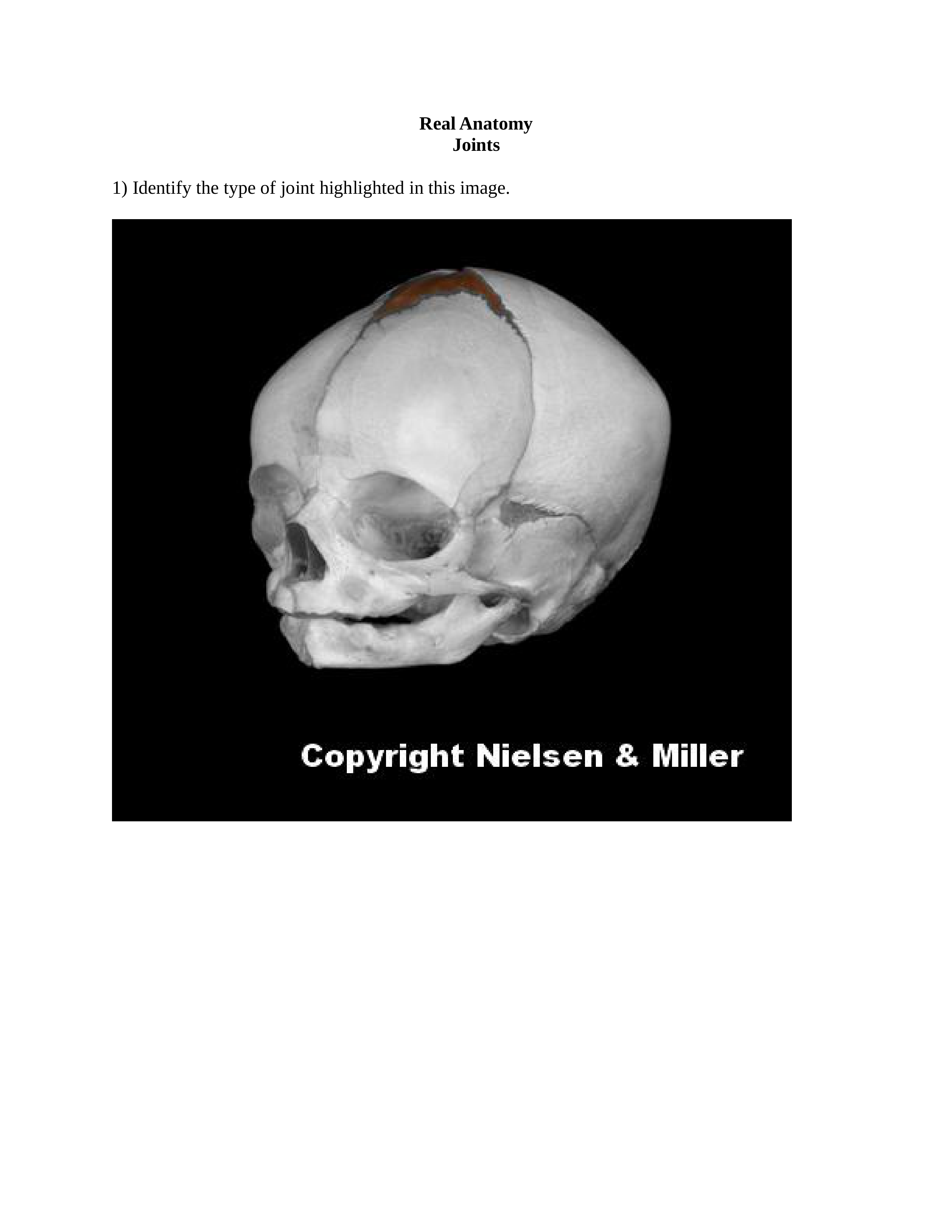 REAL_ANATOMY_LAB_07_joints.docx_d0ewx3jys1h_page1