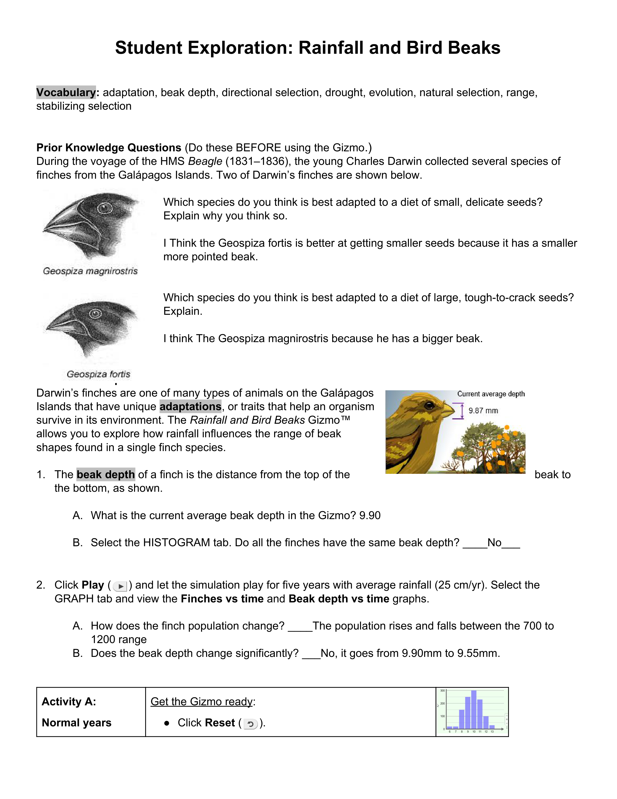 Rainfall and Bird Beaks.pdf_d0ff1624xk8_page1