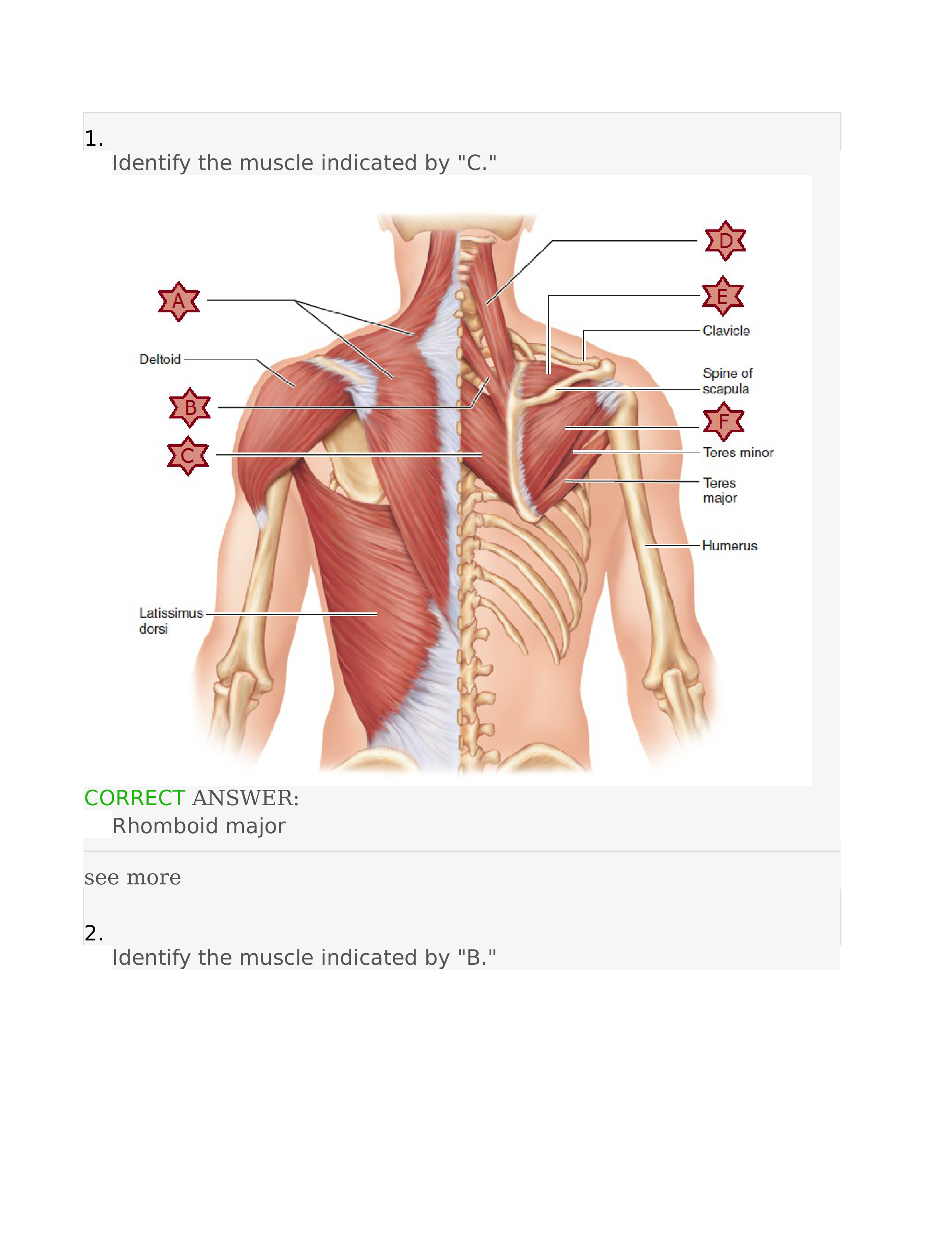 Ch. 10 Module 3 Section 10.05 Dynamic Study Module.docx_d0msu84glqu_page1