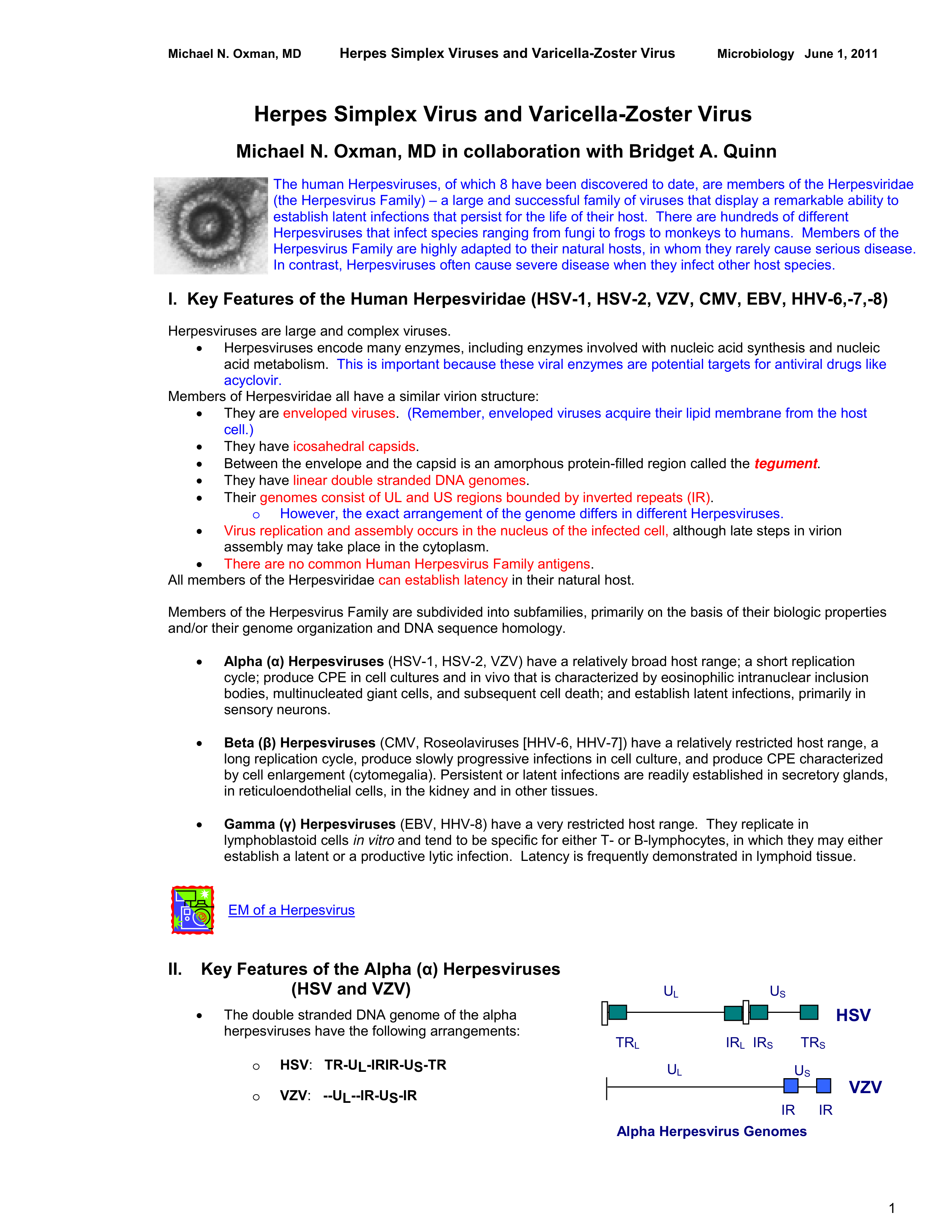 18- HERPES_SIMPLEX_VIRUS_and_VARICELLA_ZOSTER_VIRUS___Web_Syllabus___OXMAN__1_June_2011_052711083314_d0w7cuwj75m_page1