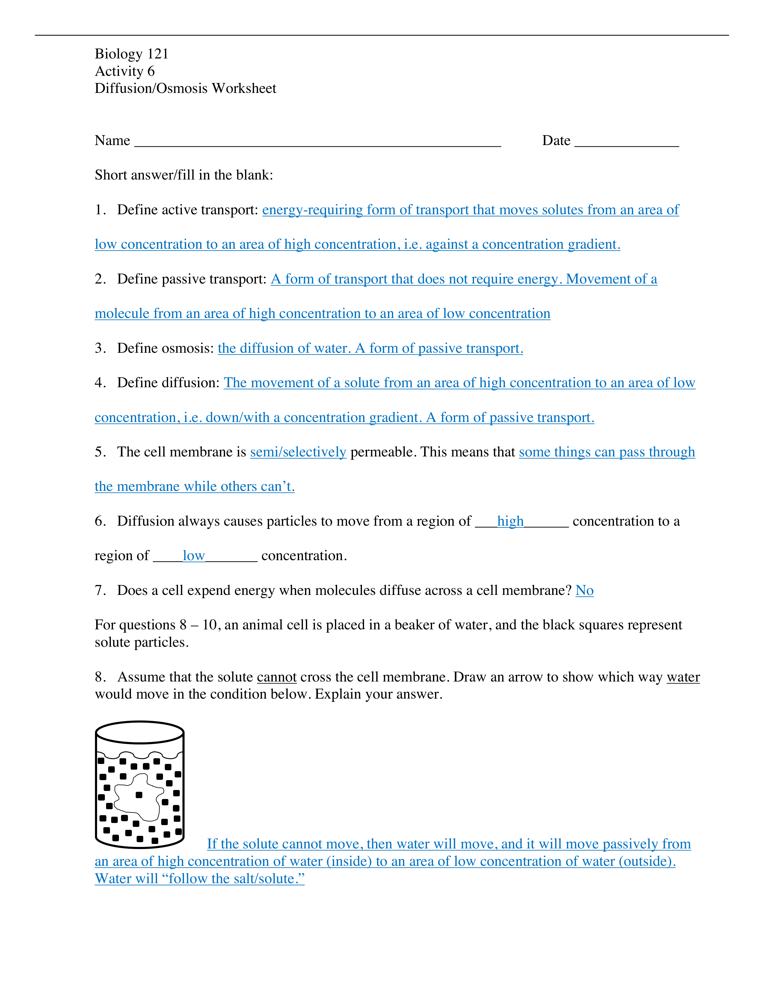 Diffusion - Osmosis - Active Transport Worksheet - Answer Key.pdf_d0z7vlm1a8e_page1