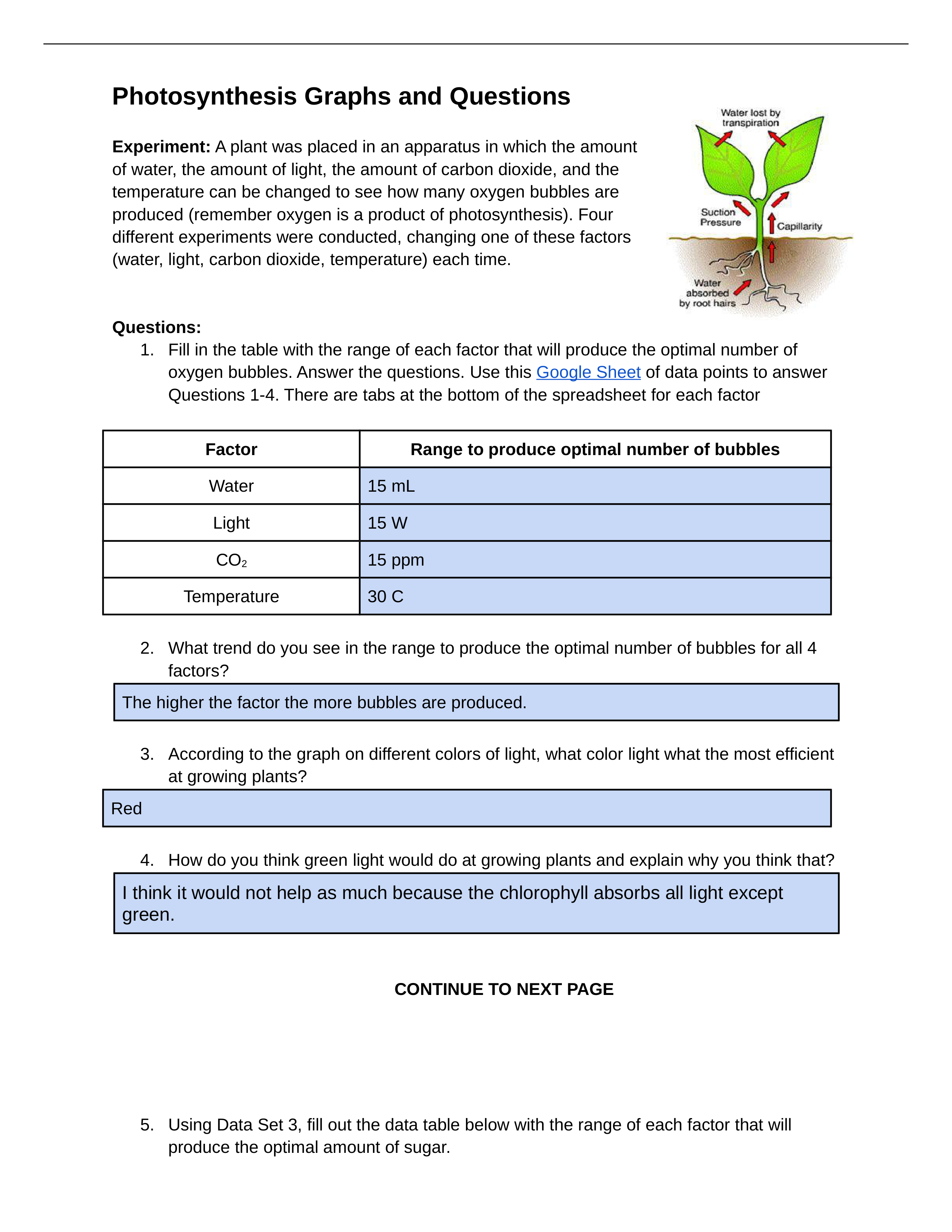 Copy of A Plant's Raw Materials.docx_d12xvdrlrxl_page1