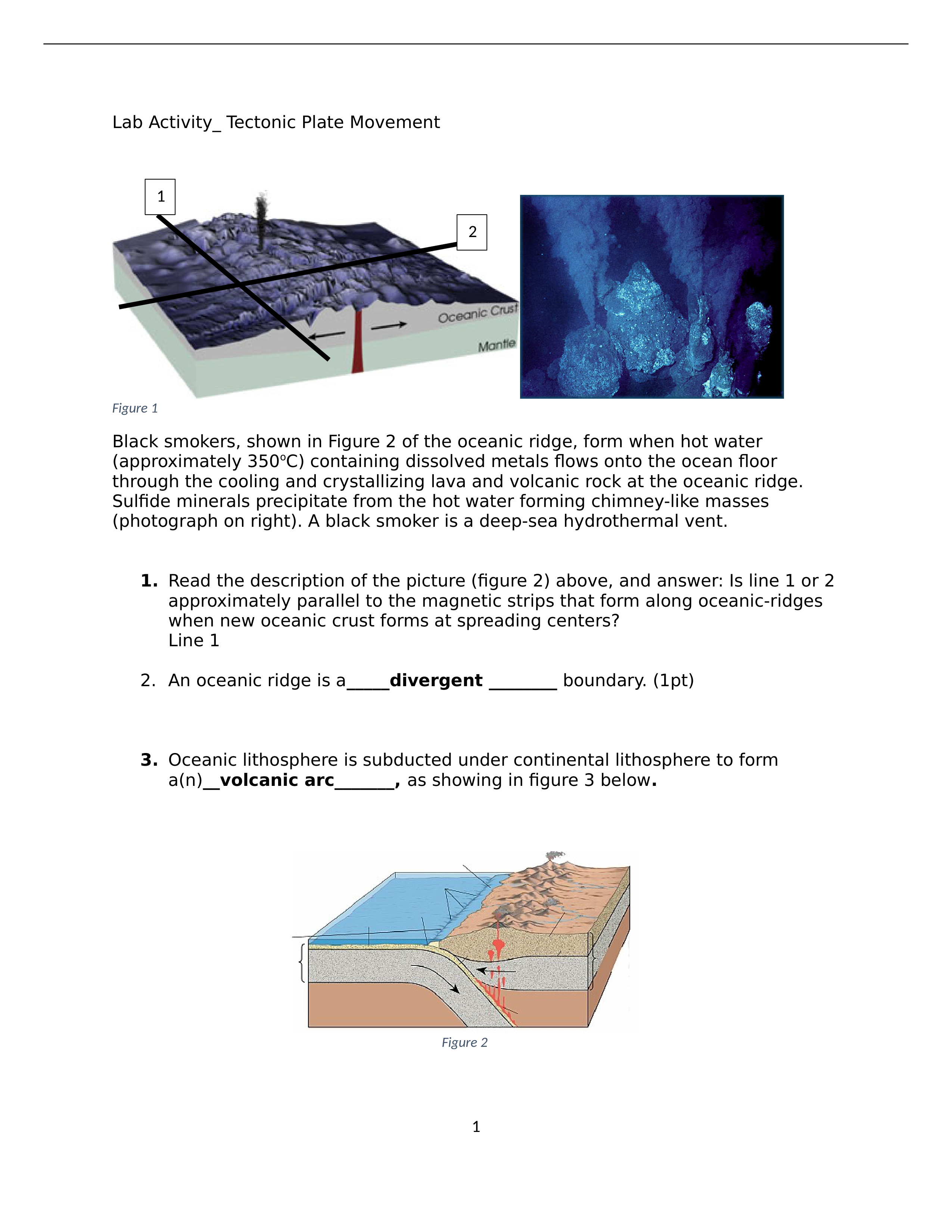 Sj Oyebade Lab 4_Tectonic Plates.docx_d18rfy8uuv2_page1