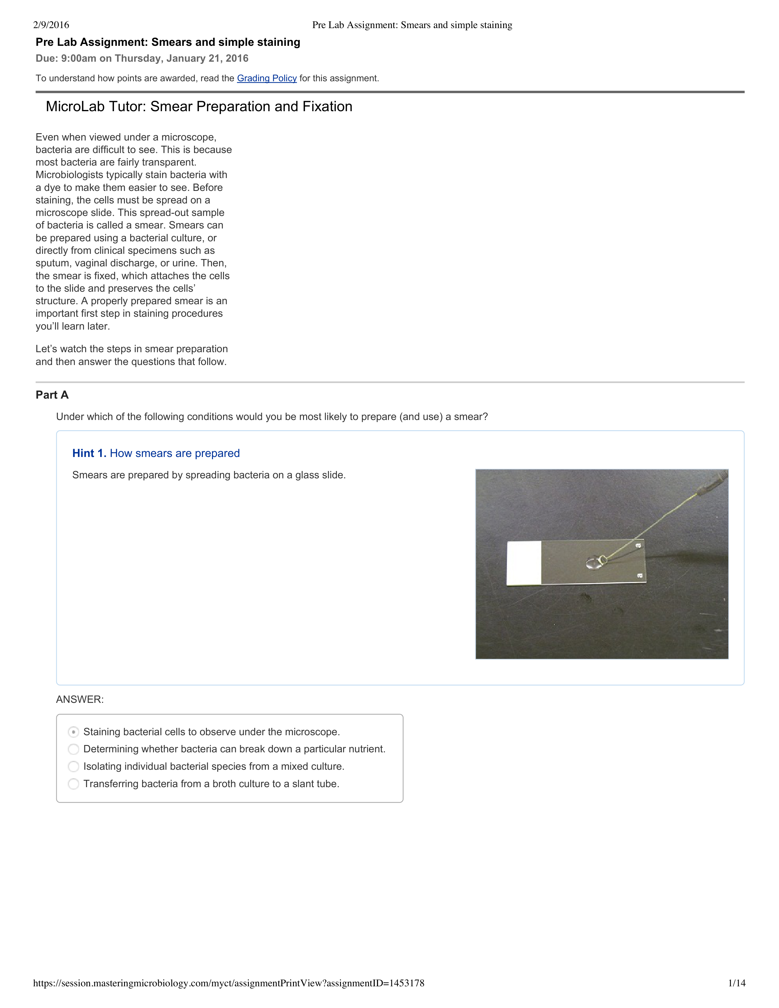 Pre Lab Assignment_ Smears and simple staining_d1a4ovpxpay_page1