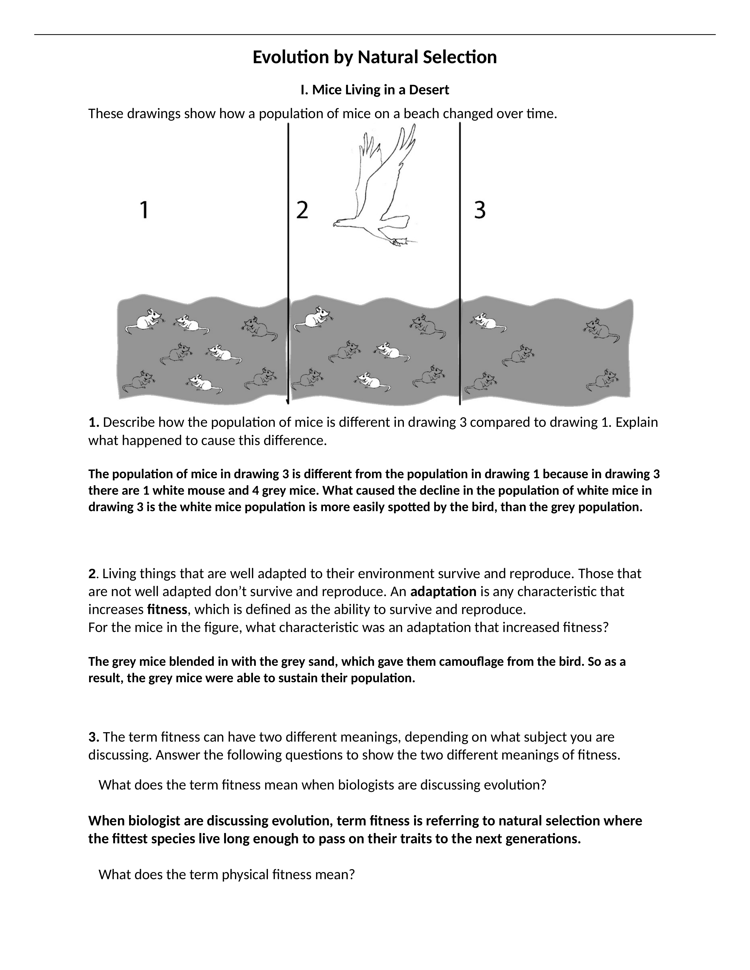 NaturalSelectionLab for 109.docx_d1hniwnw23w_page1