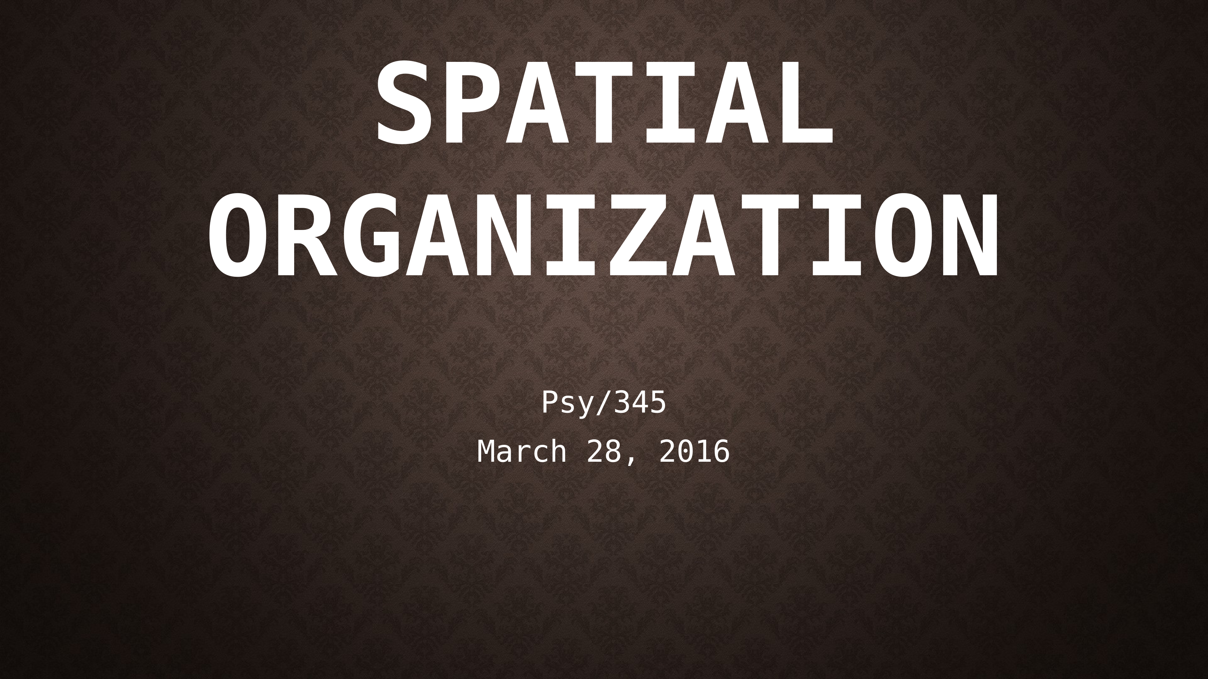 Spatial Organization PP_d1kwrk72z3d_page1