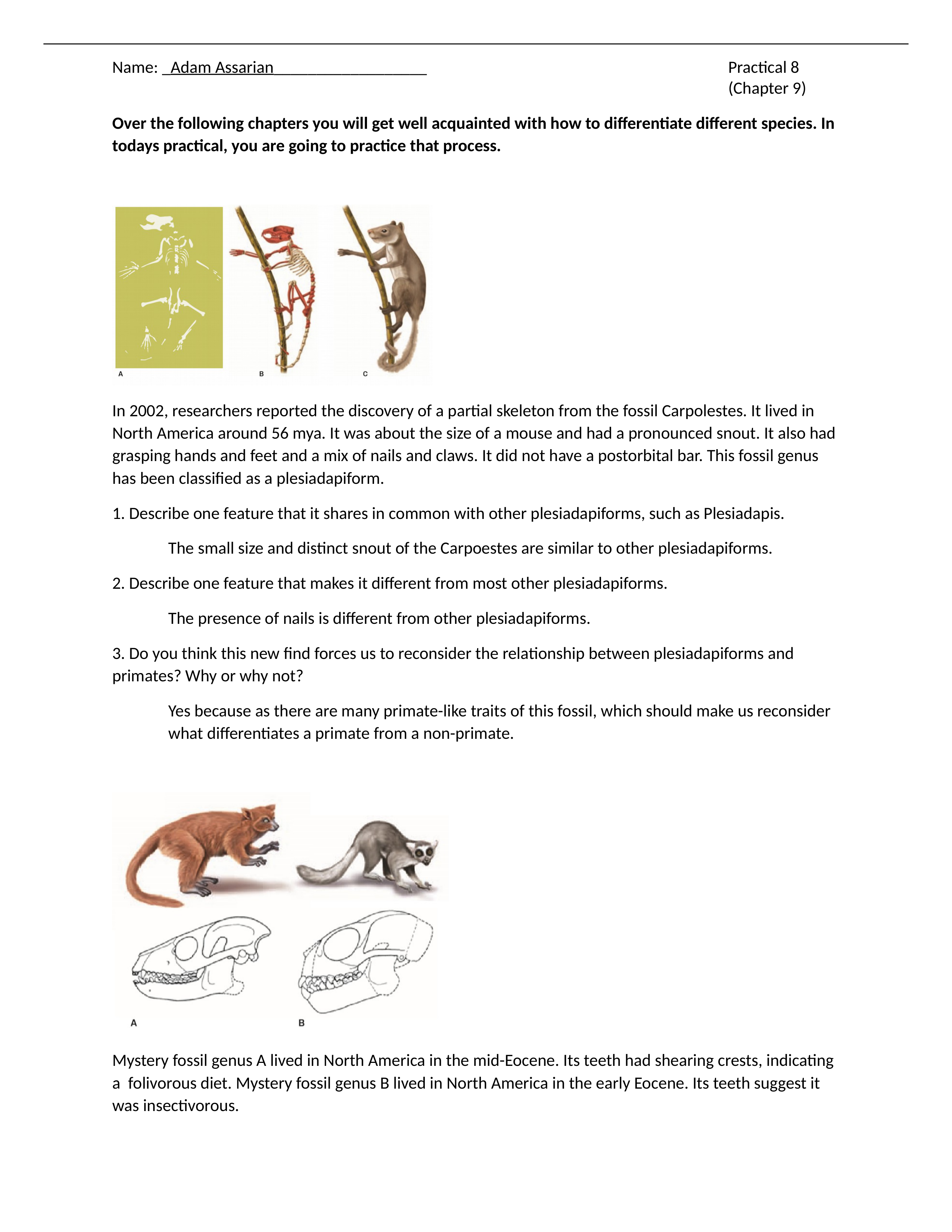 Practical 8.docx_d1p5izcn0ox_page1