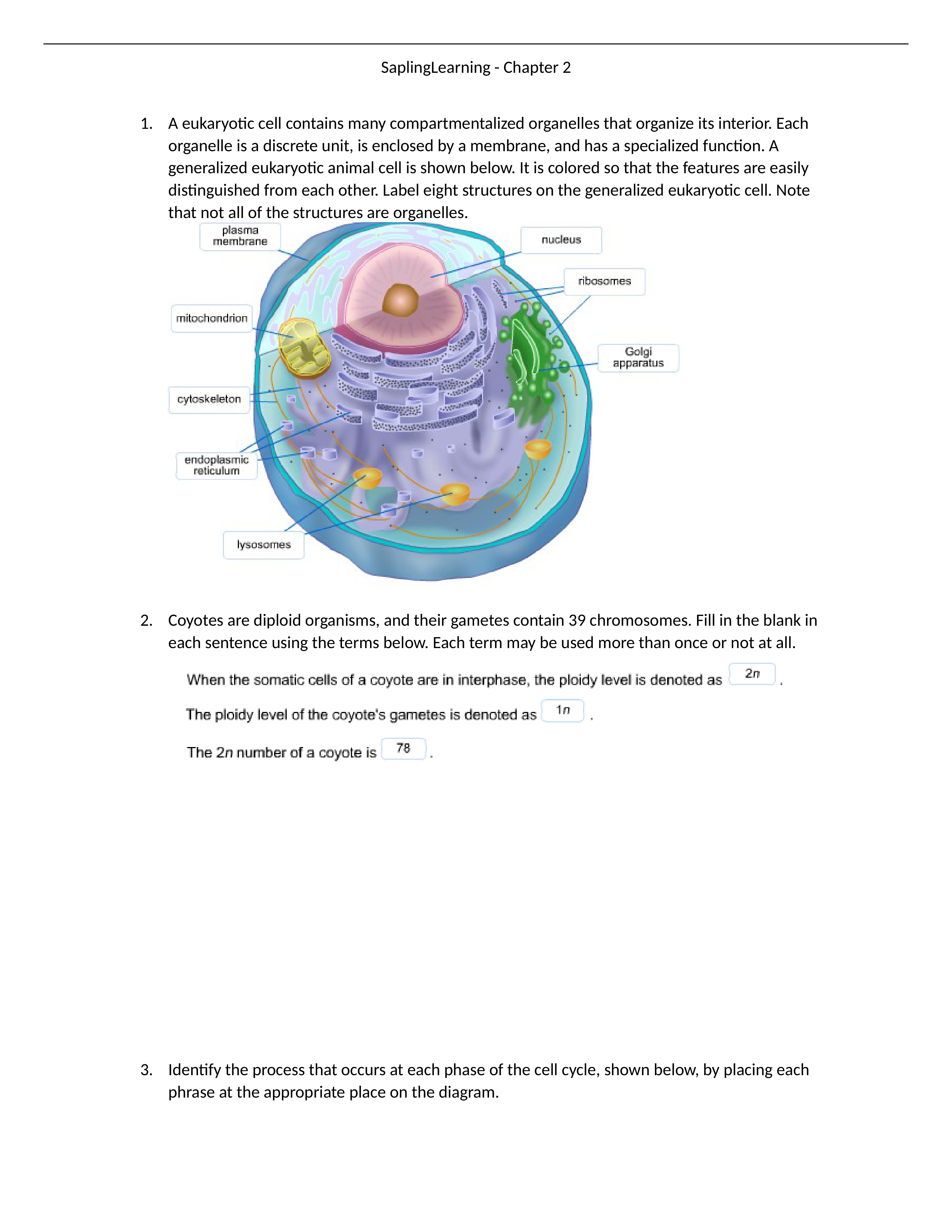 SaplingLearning Chapter 2_d1p6rclvm7d_page1