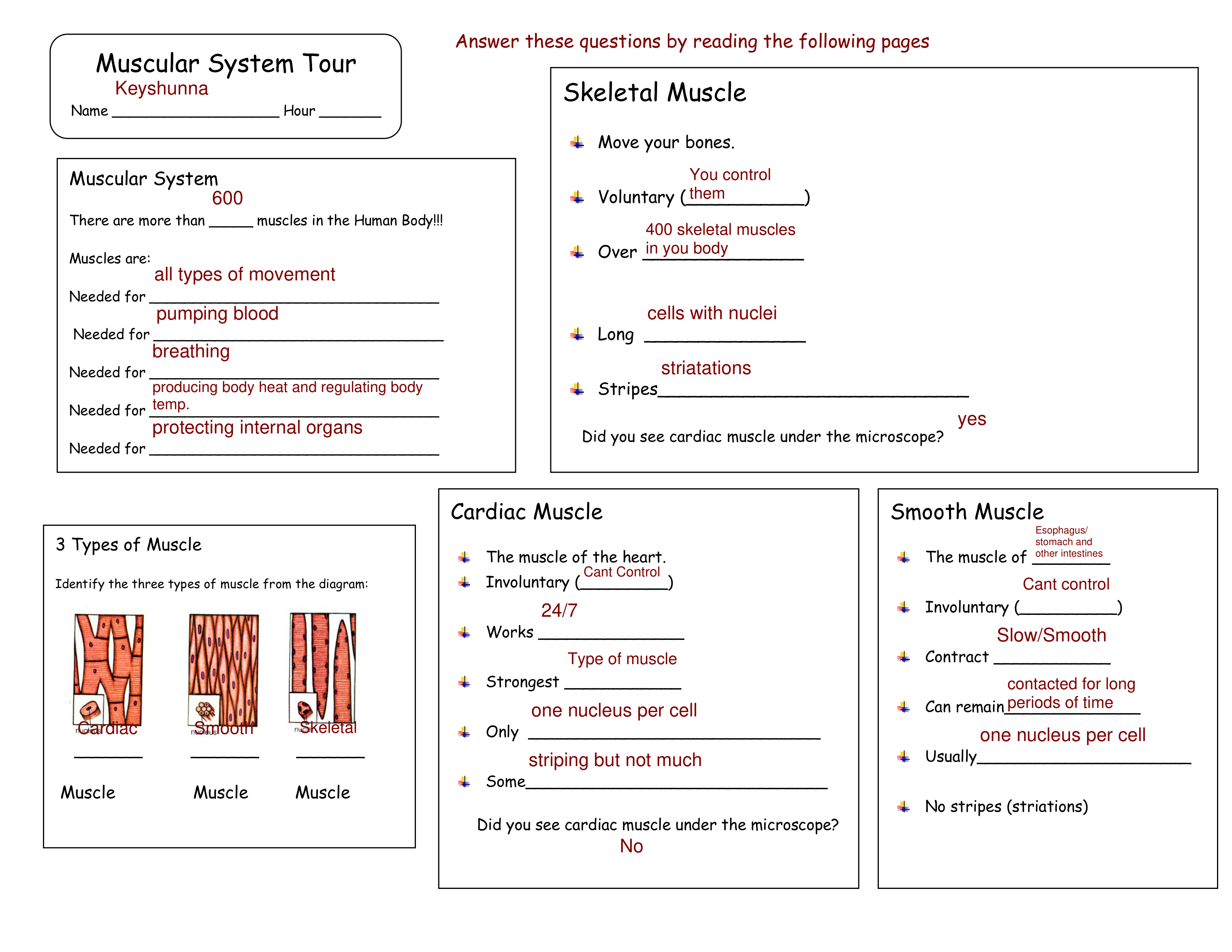 Keshaunana Harris - muscular_system_tour_activity_form.pdf_d1pfrb8ge29_page1