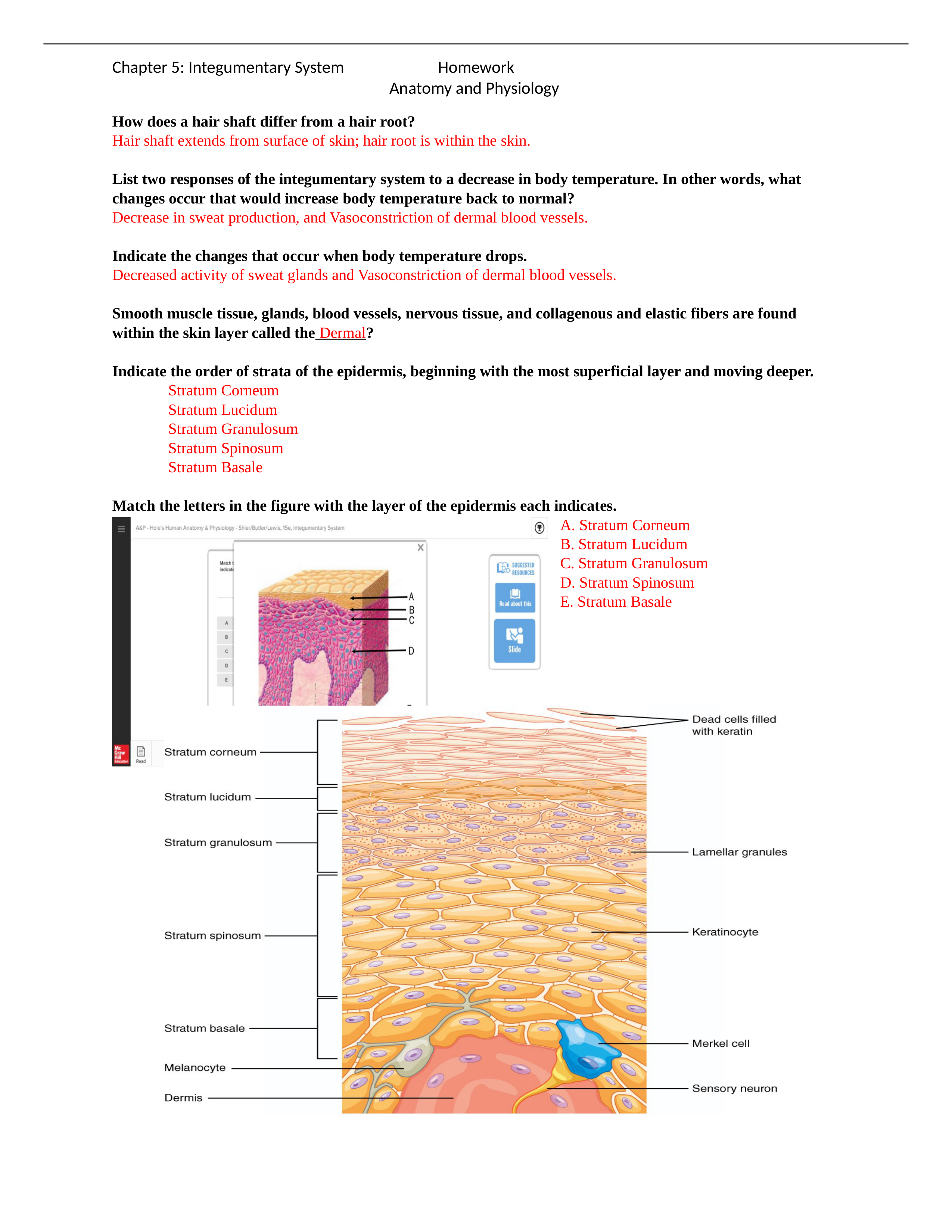 Chapter 5 Homework Review.docx_d1tawjmfehx_page1